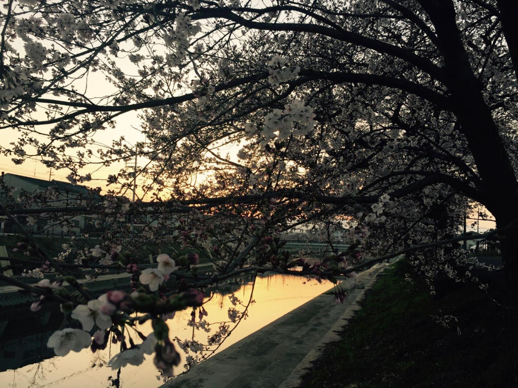 Kyoto Seimeikan