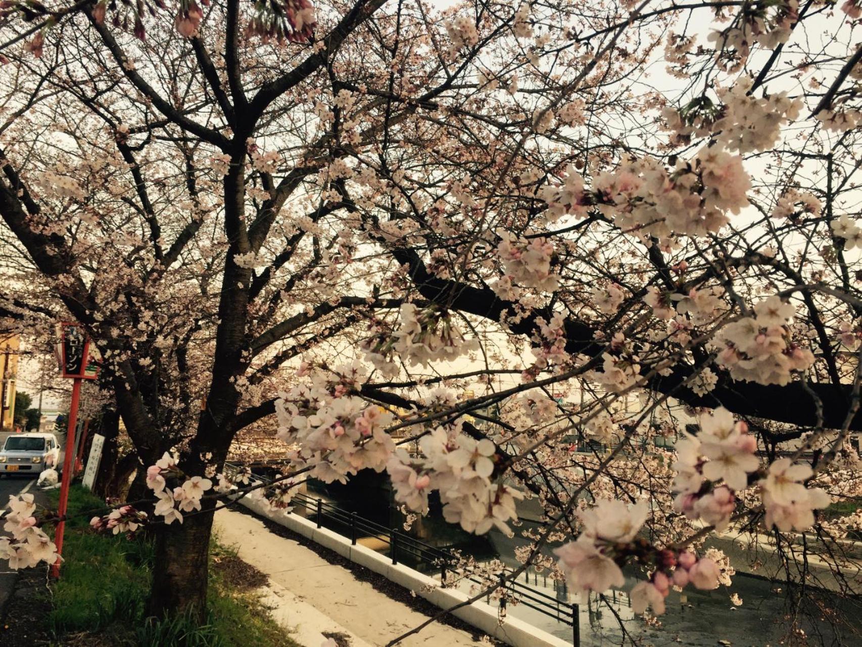 Kyoto Seimeikan