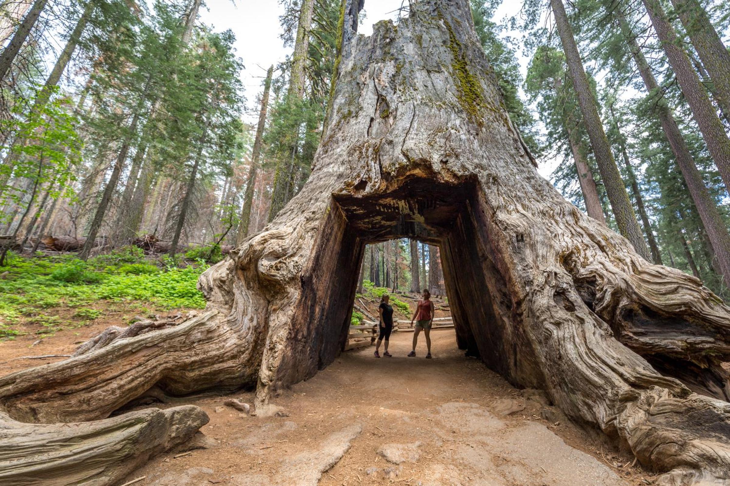 Rush Creek Lodge at Yosemite