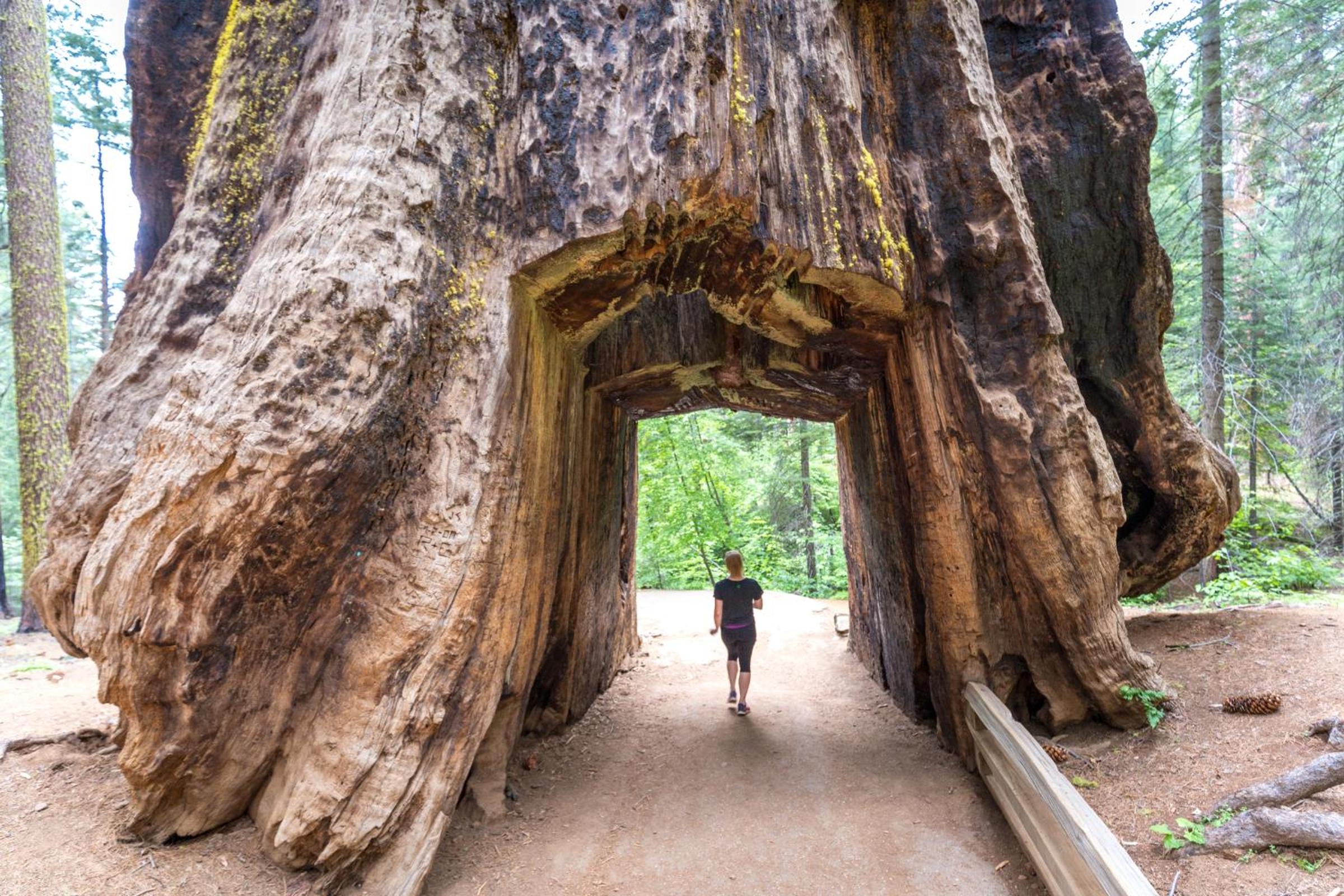 Rush Creek Lodge at Yosemite