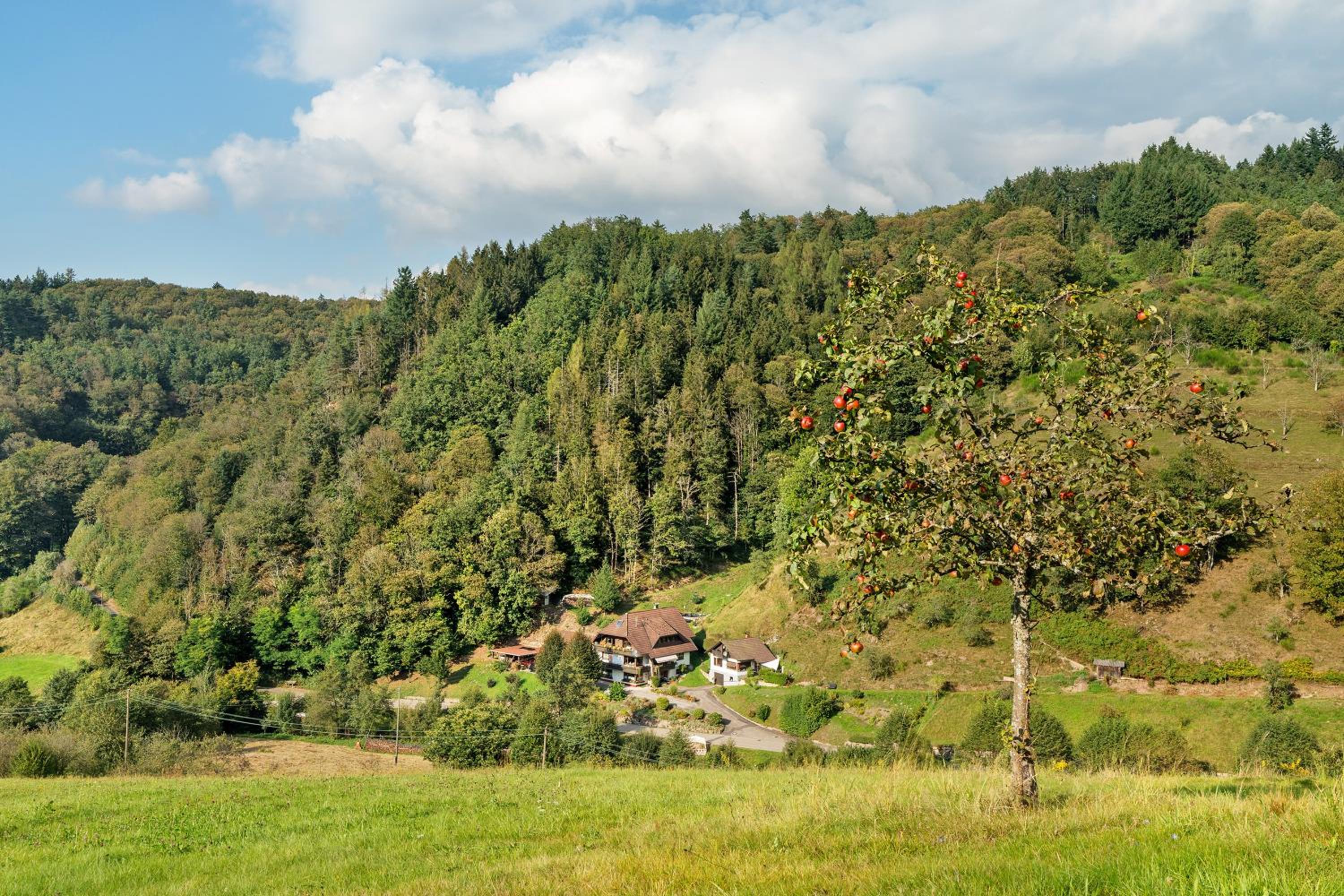 Photo 25
