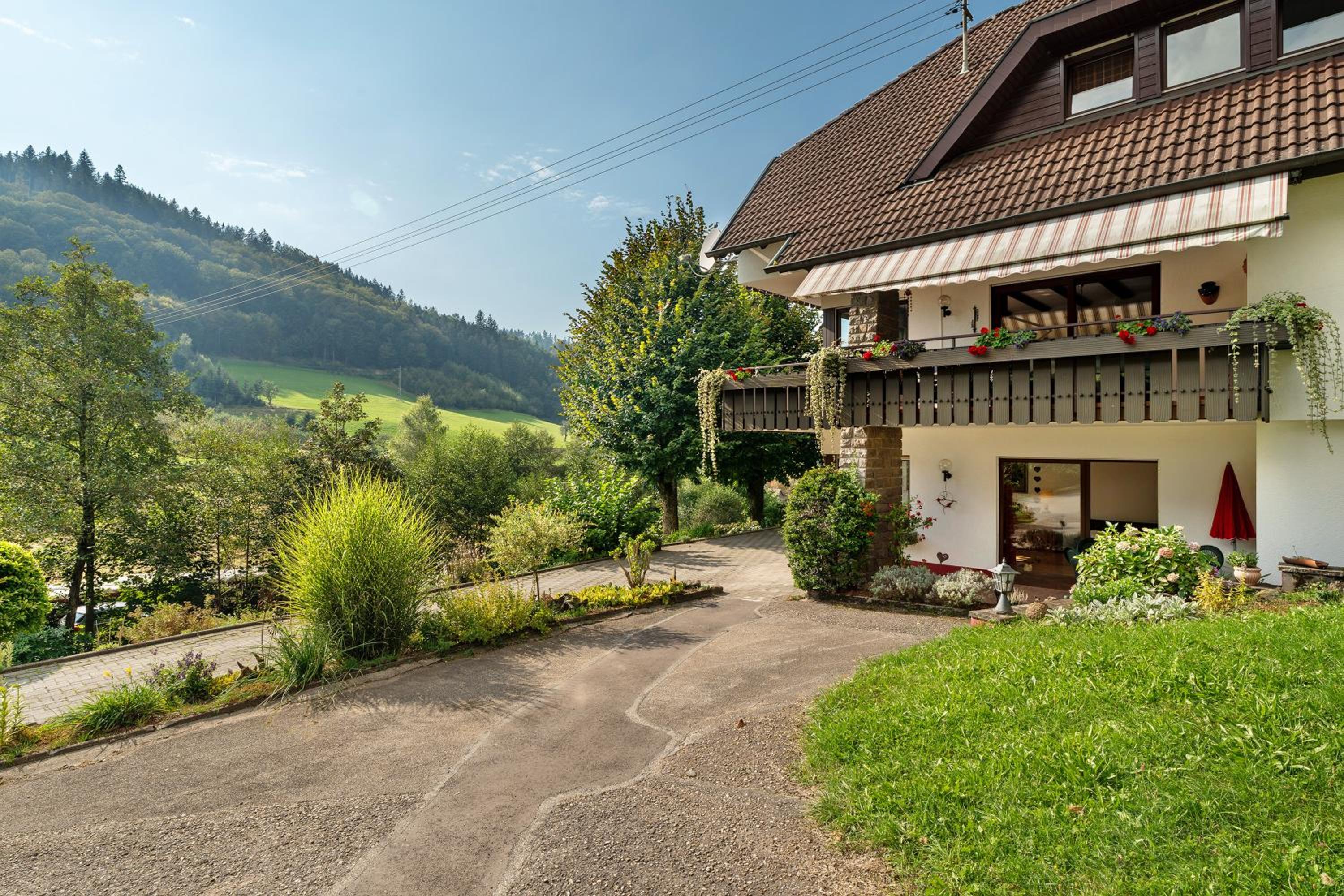 Haus Schindler view 4