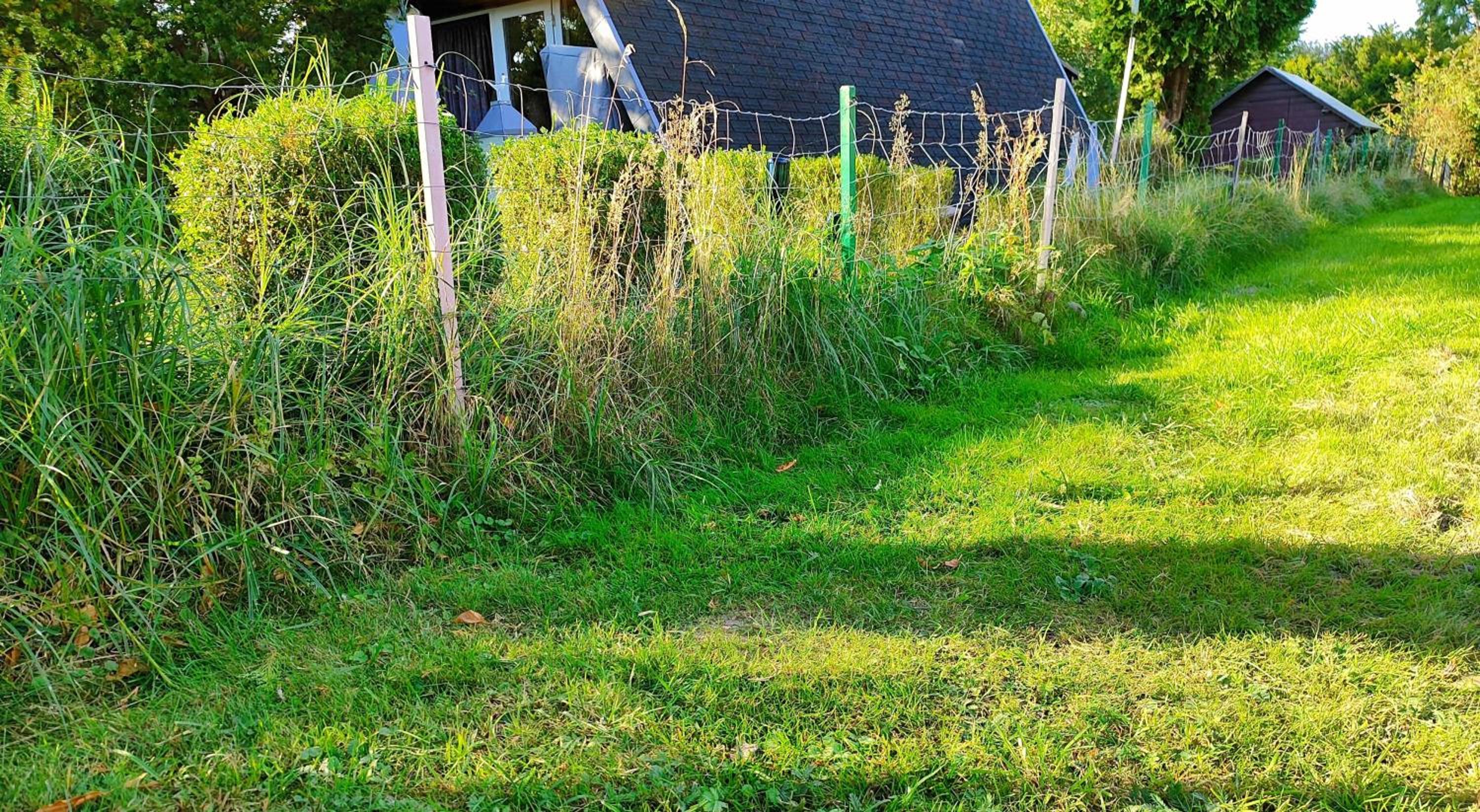 Deichhaus Meeresrauschen - Meer Platz für die Familie