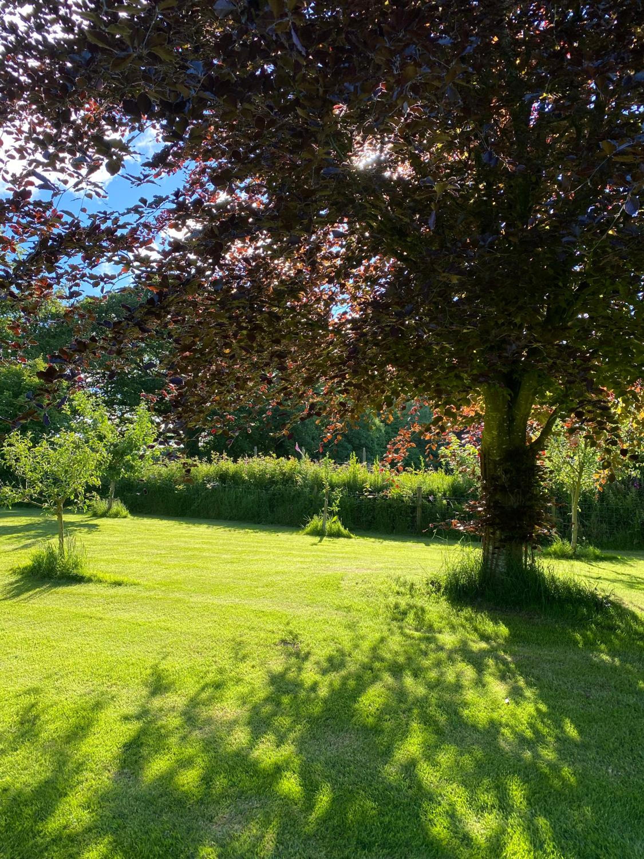 Trevadlock Manor Self Catering Cottages