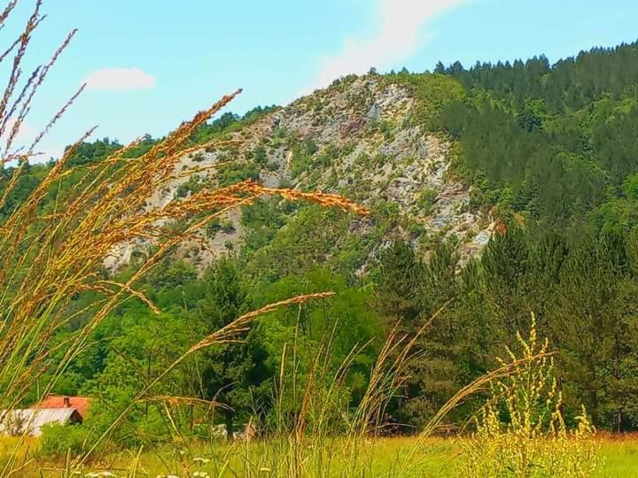 Drveni raj Lopatnice