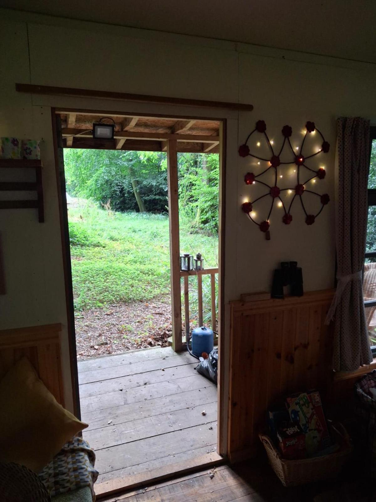 The Shack in the Woods- Off Grid view 2