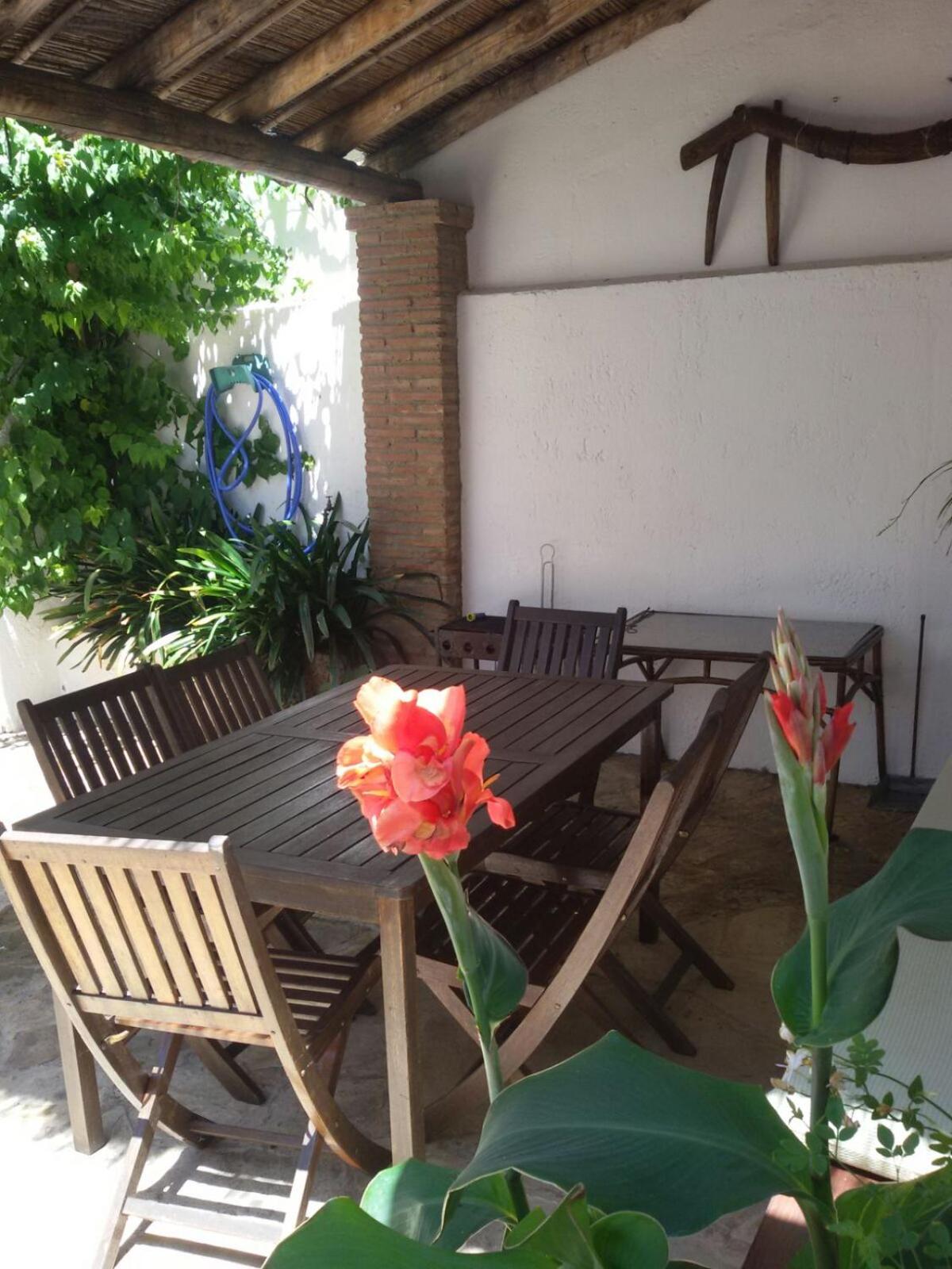 La Carrihuela Amarilla