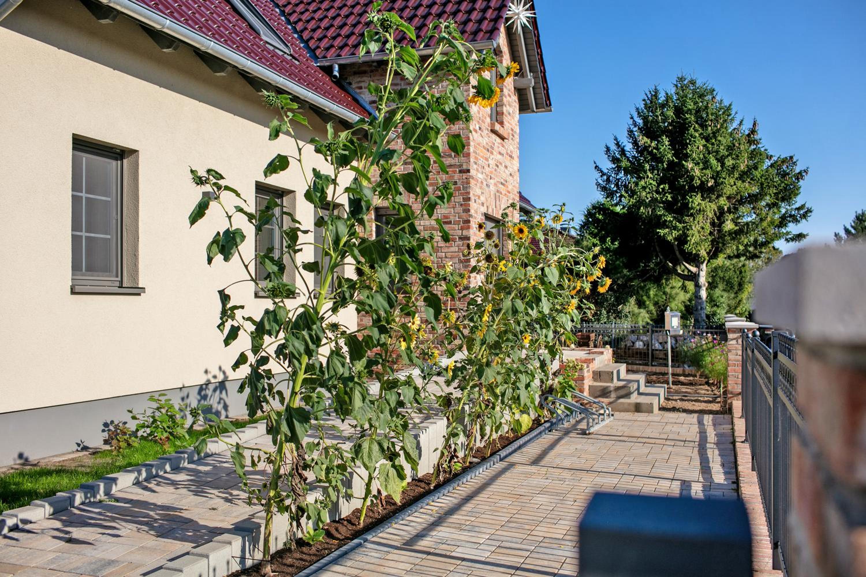 Ferienwohnungen Stolzenhagener 7