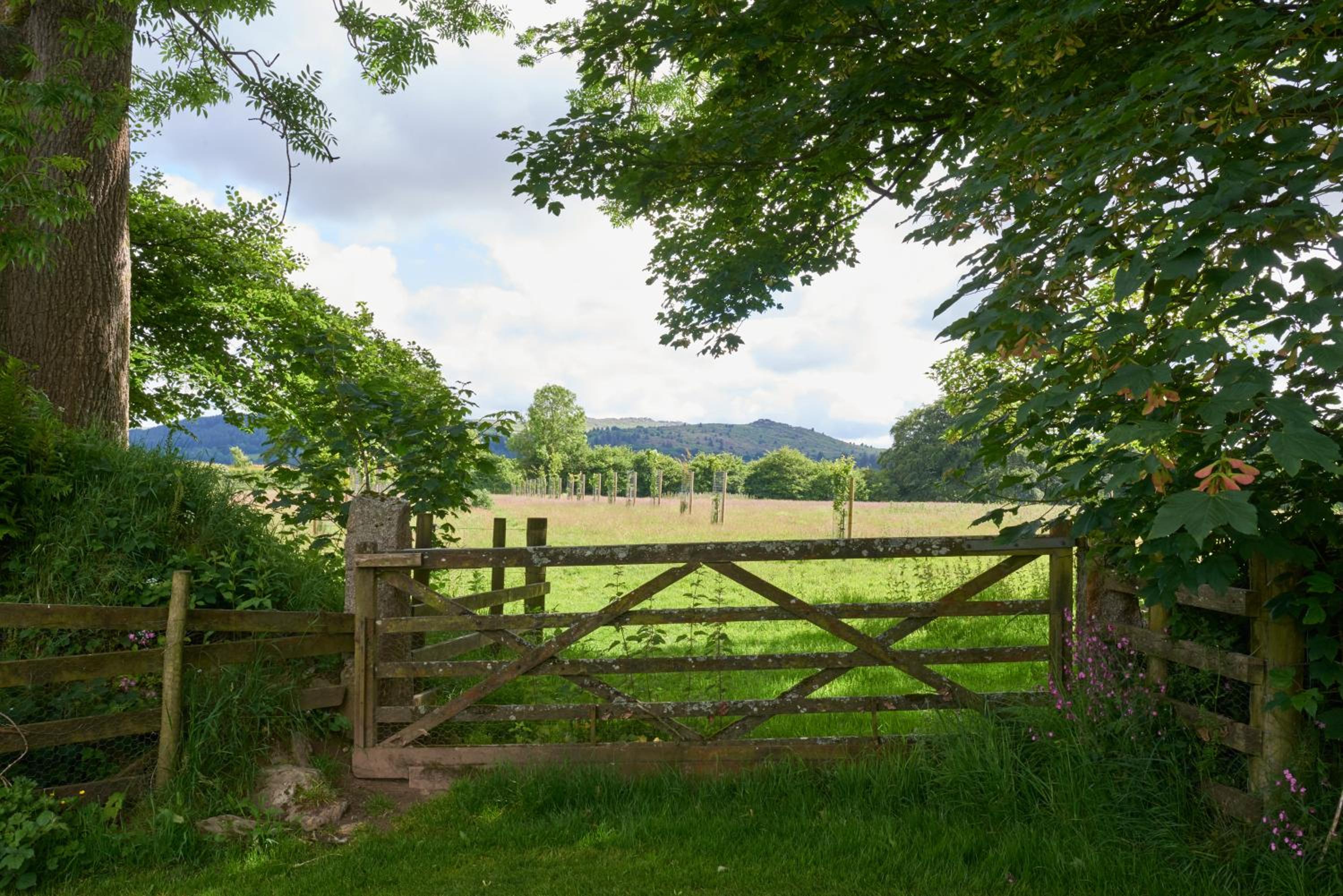 Trevadlock Manor Self Catering Cottages