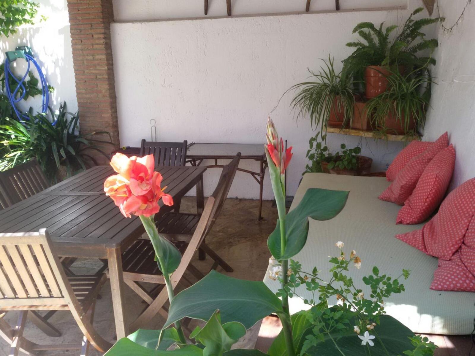 La Carrihuela Amarilla