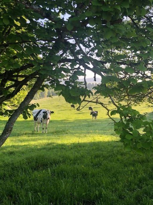 La Doline Charmant logement de vacances à la ferme