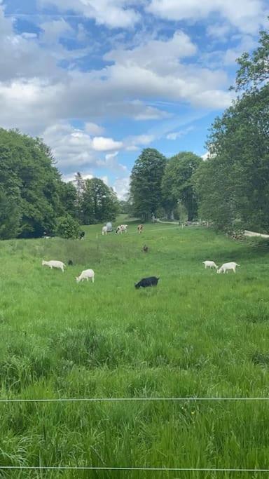 La Doline Charmant logement de vacances à la ferme