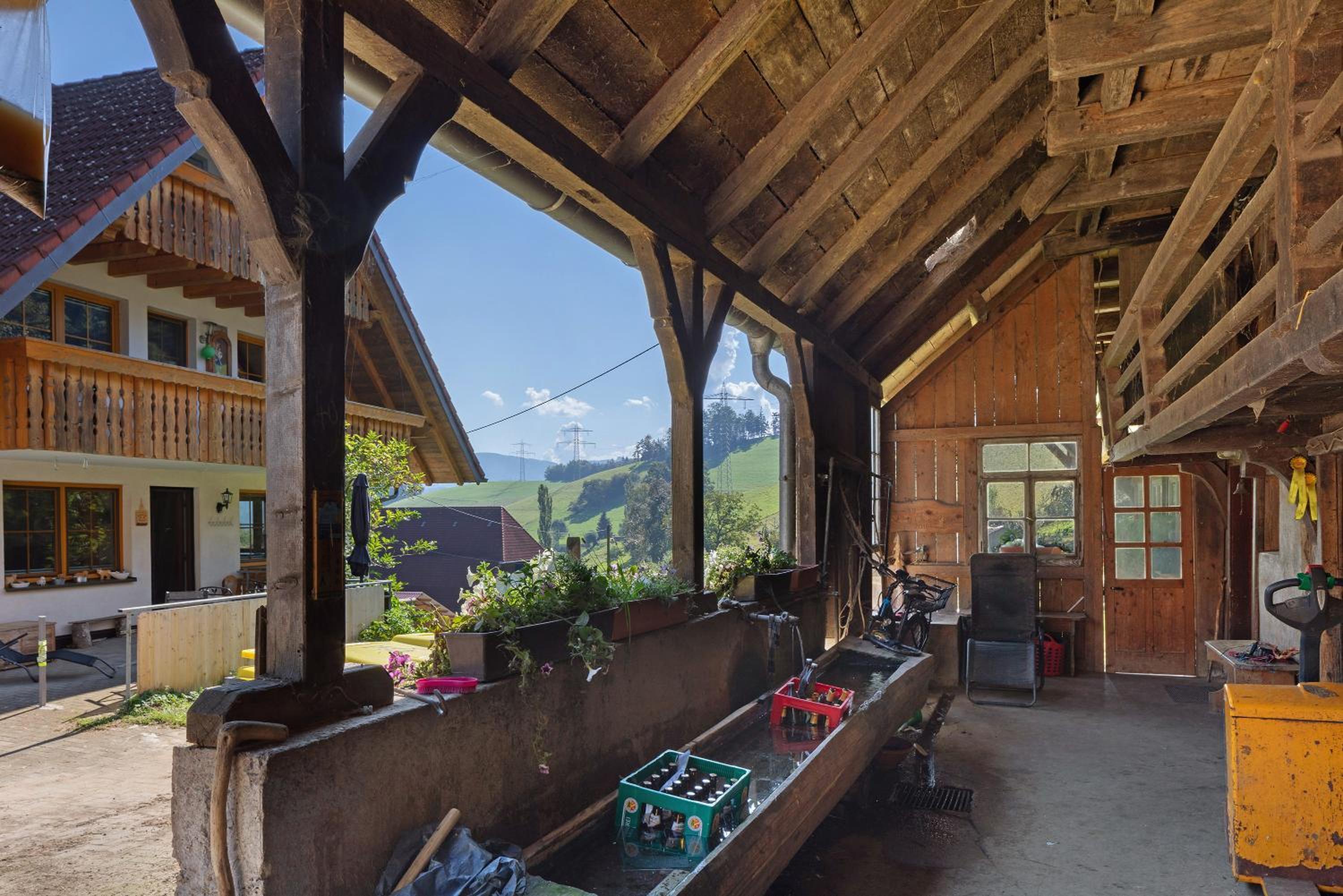 Hinterbauernhof Fewo Kuhgeflüster