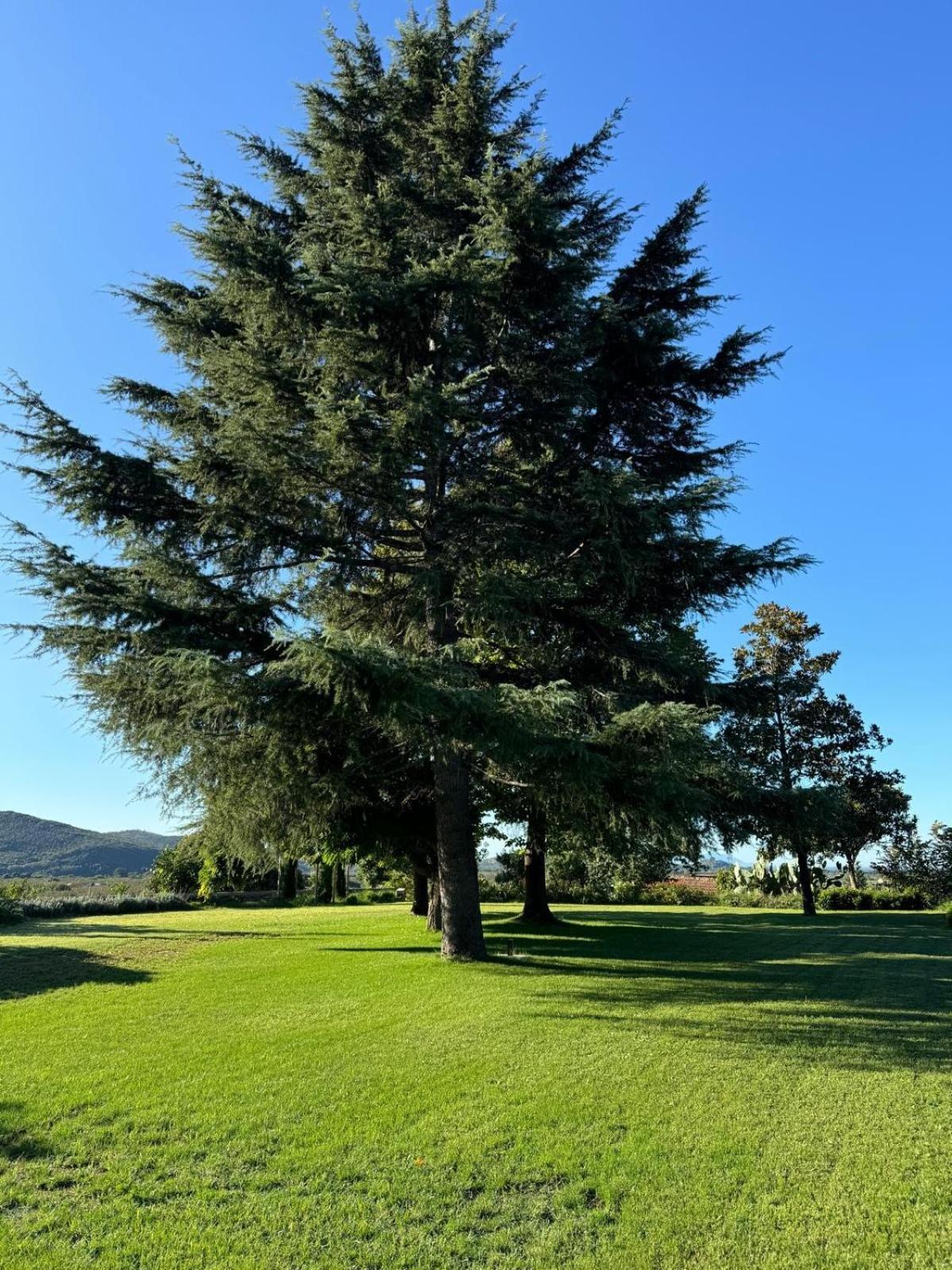 Tenuta Il Poggio Teano view 4