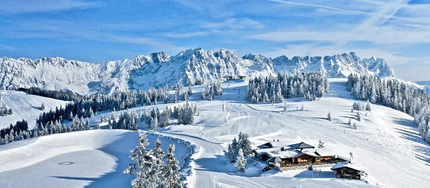 Luxus Ferienwohnung Almhütte