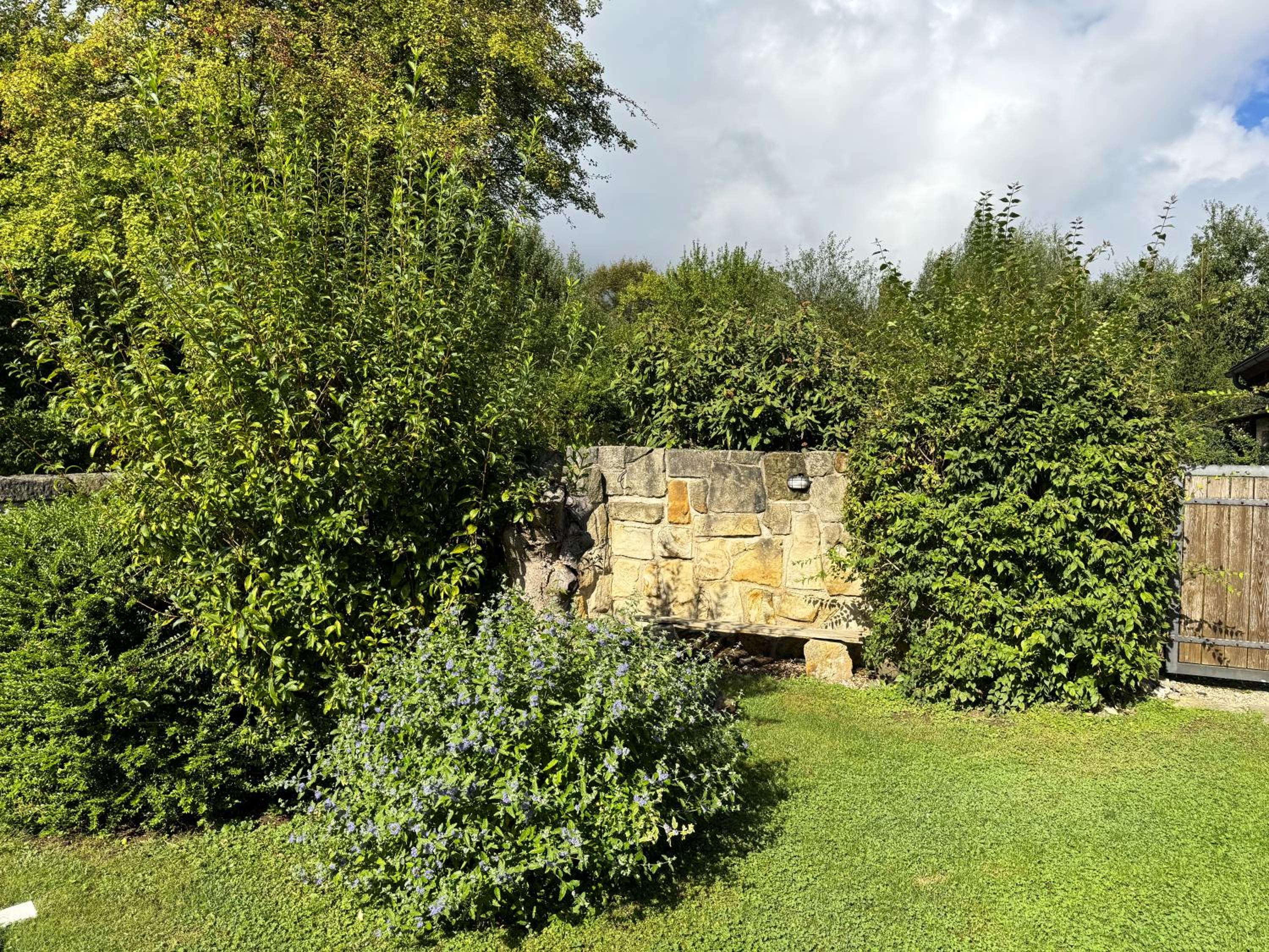 Photo 46