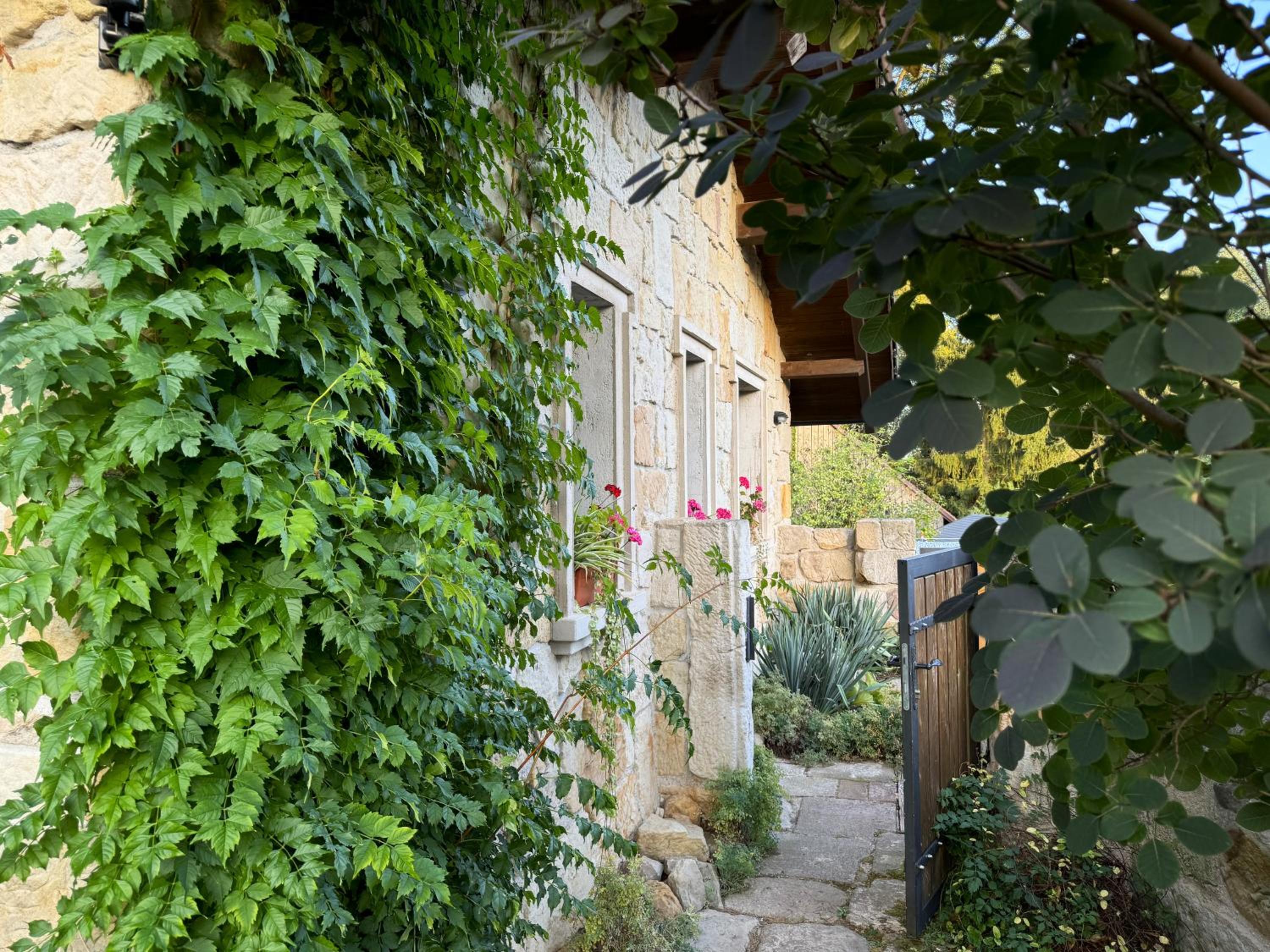 Photo 8