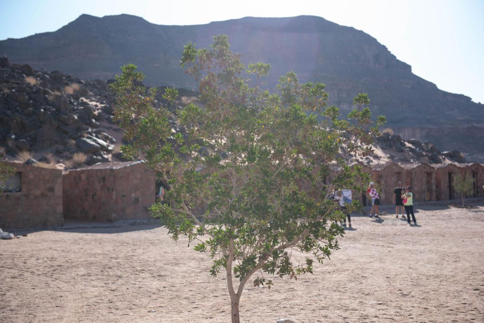 Serabit Barakat Camp