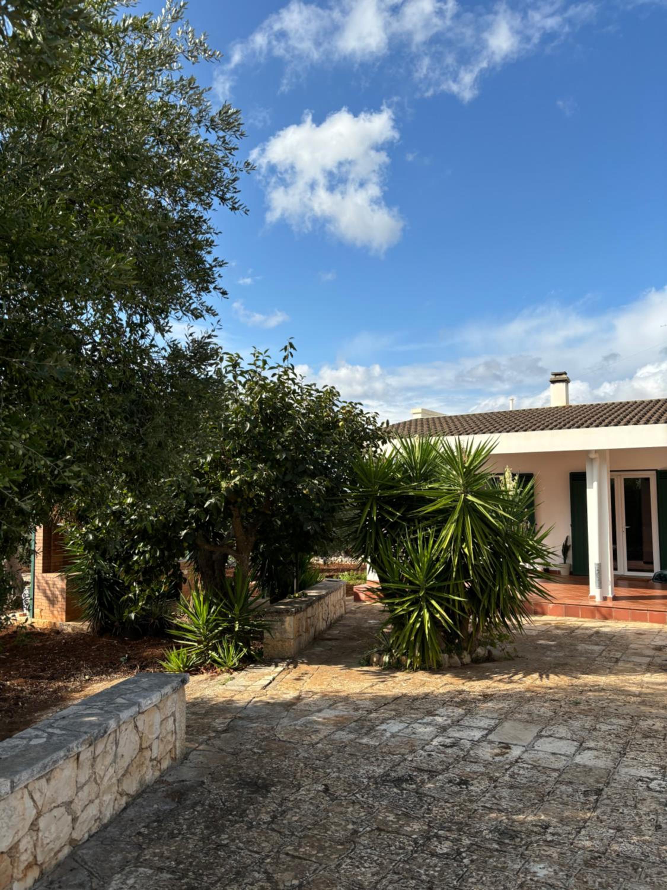 Photo 24