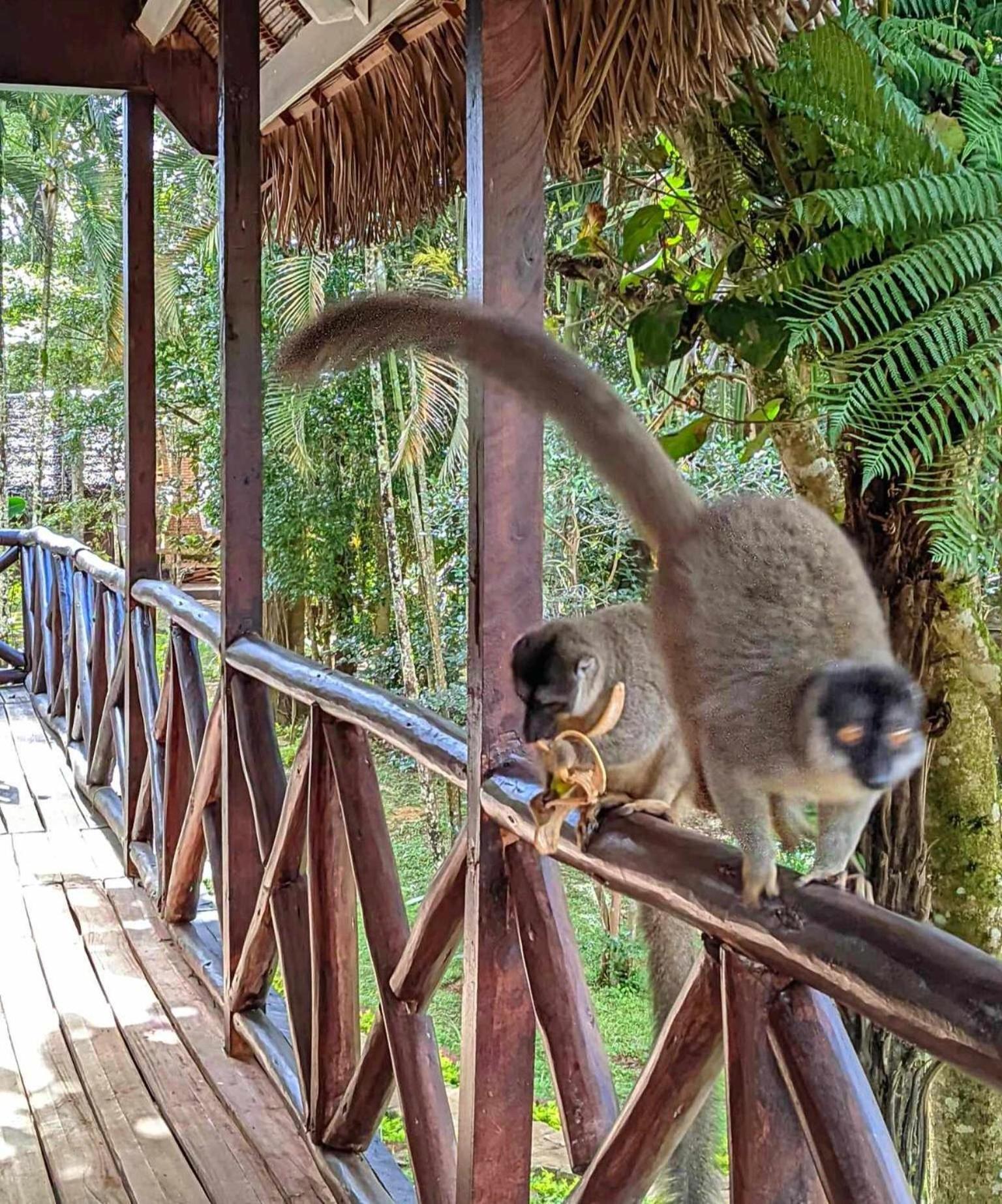 Longoza Ecolodge