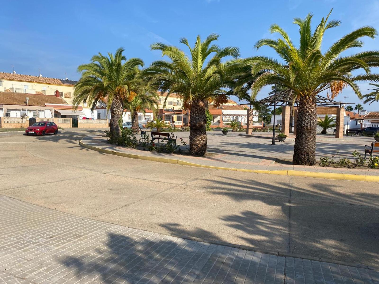 Pinos del Mar