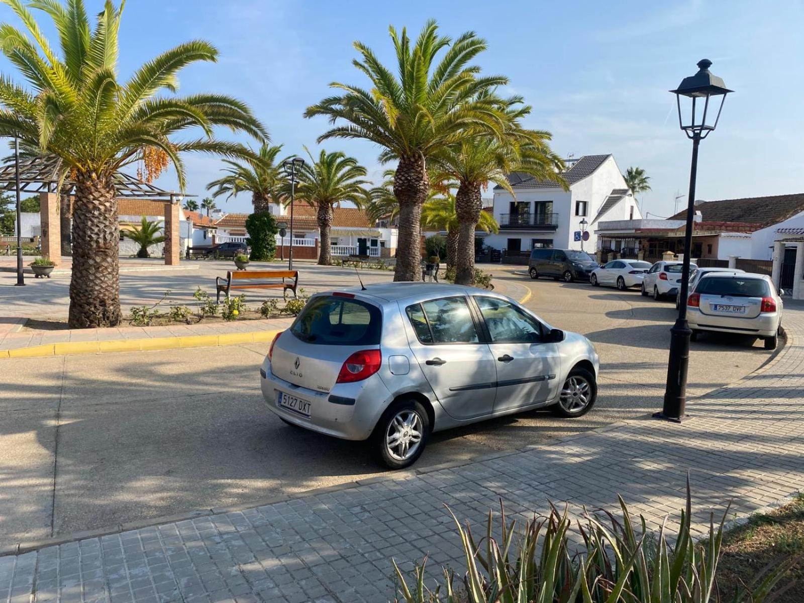 Pinos del Mar