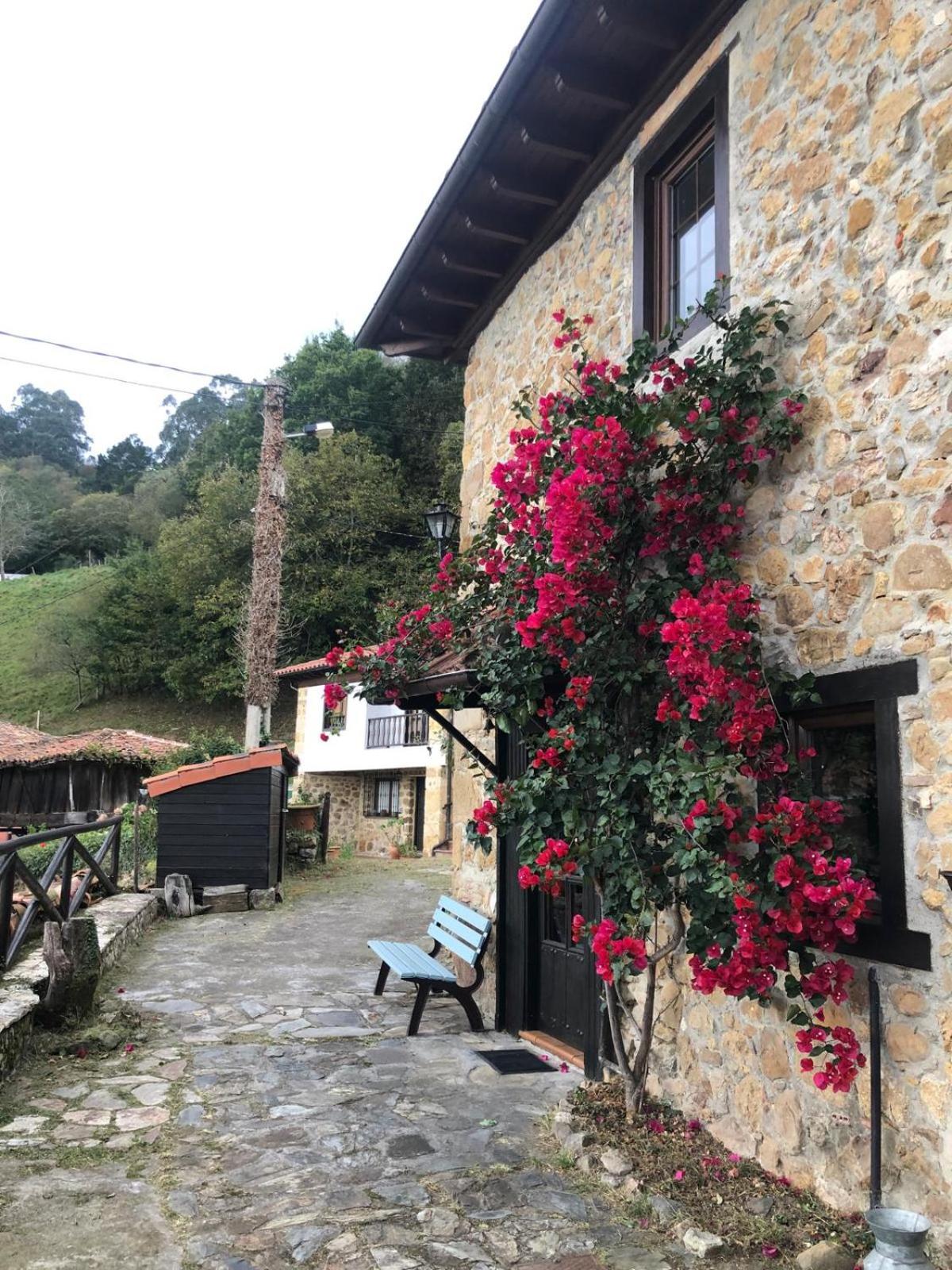 Vivienda Vacacional Casa Jimena