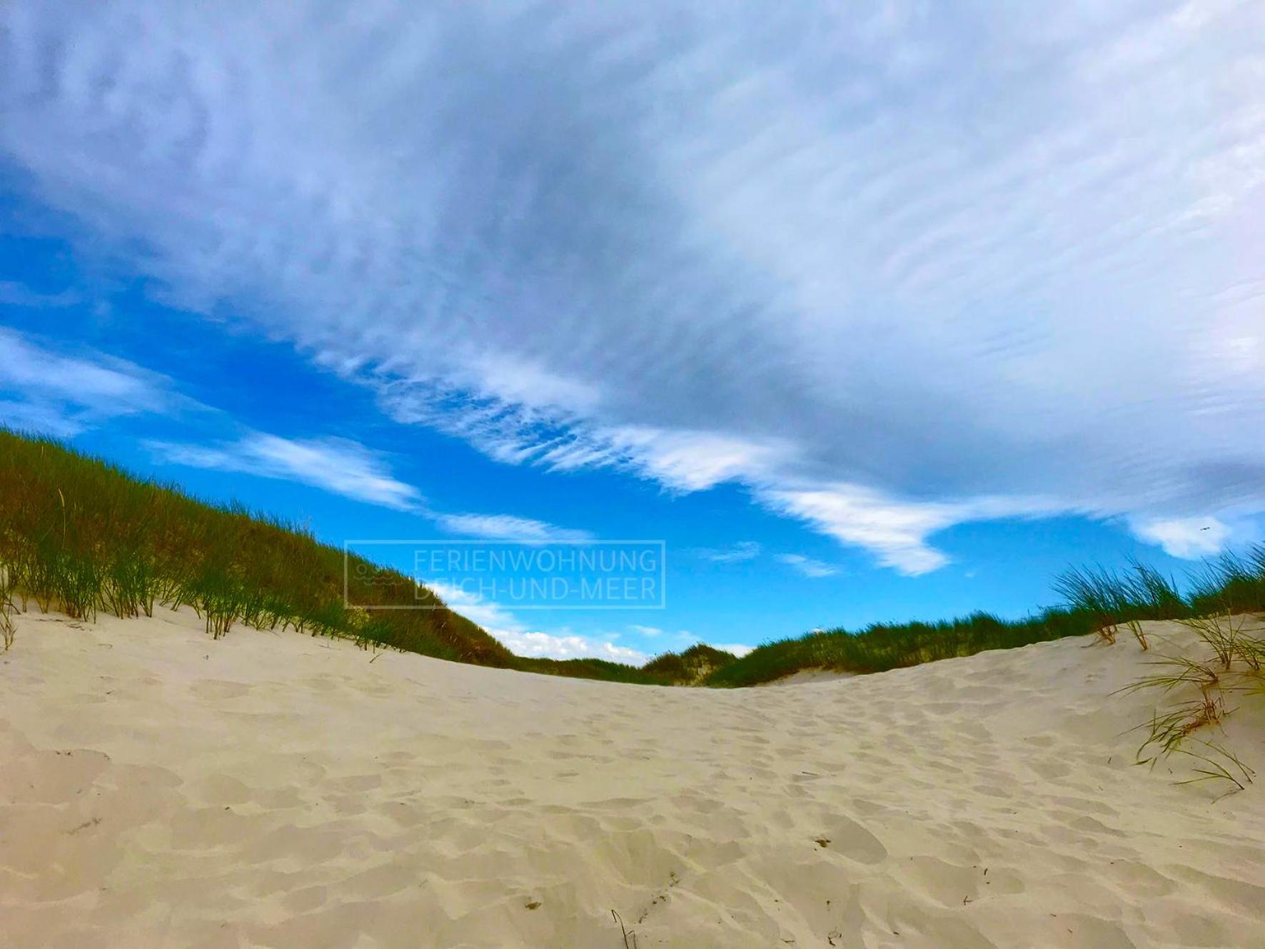 Ferienwohnung Deich und Meer