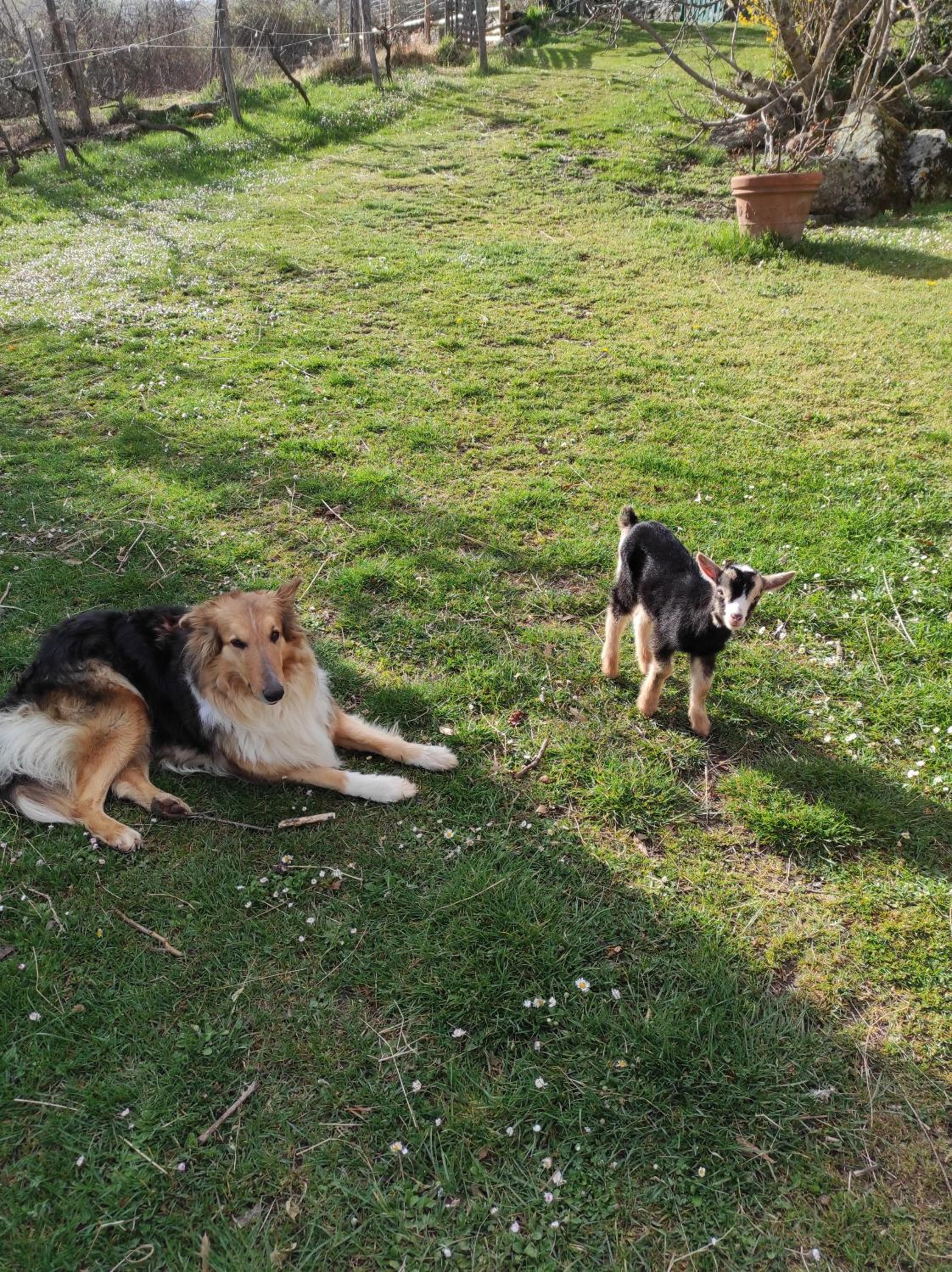 Agriturismo Podere Asche view 2