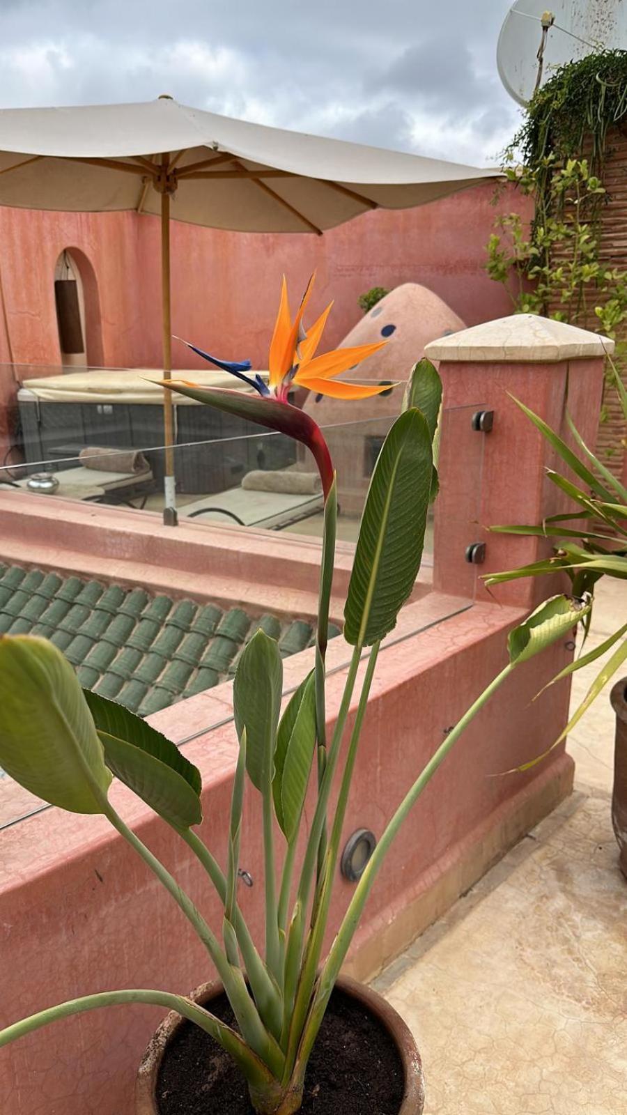 Riad Dar Ten