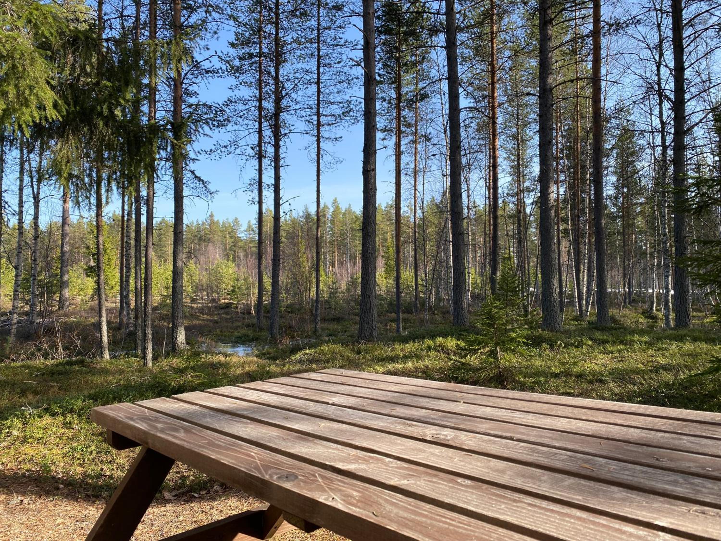 Sörsjön Stugan