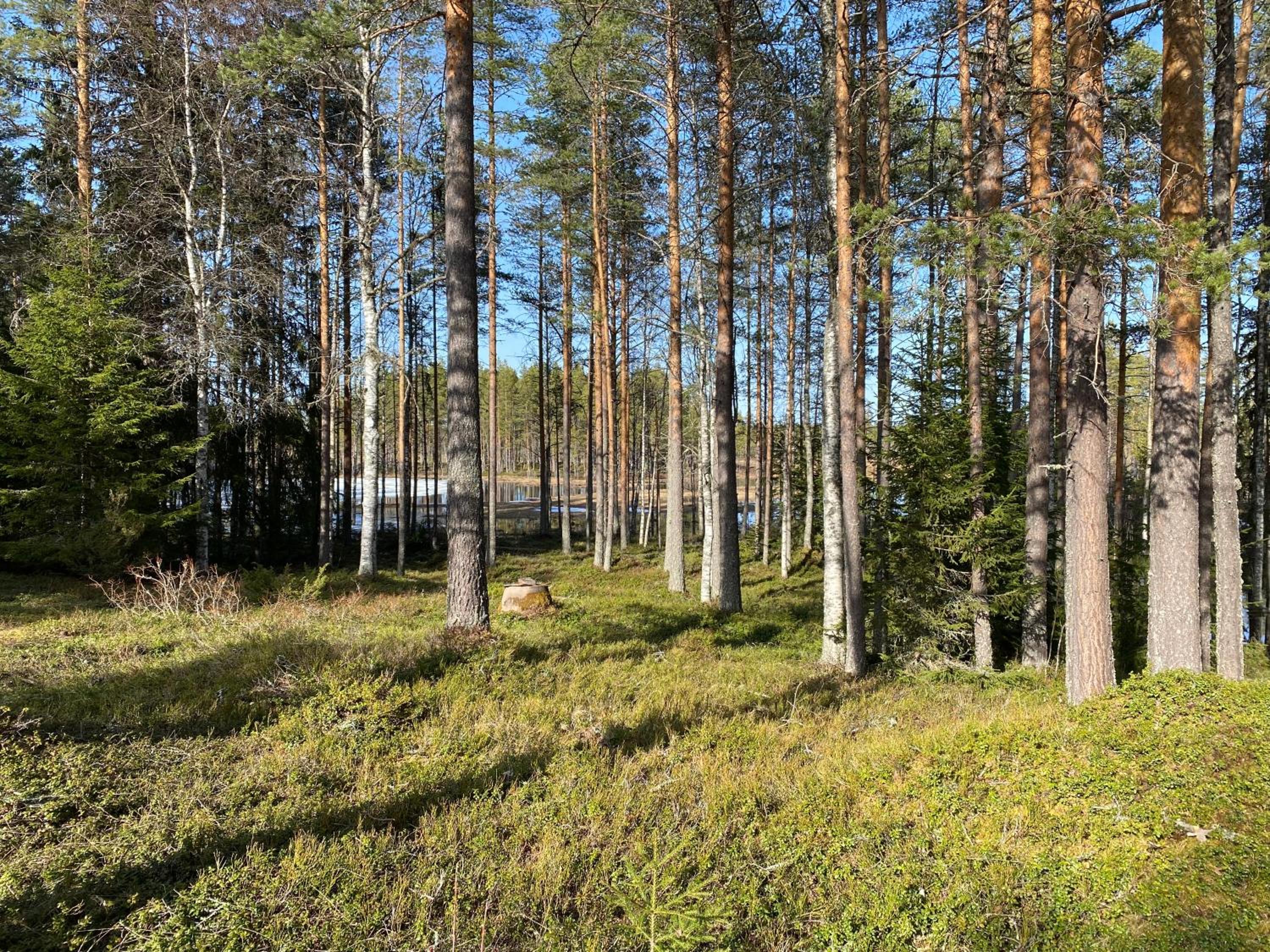 Sörsjön Stugan