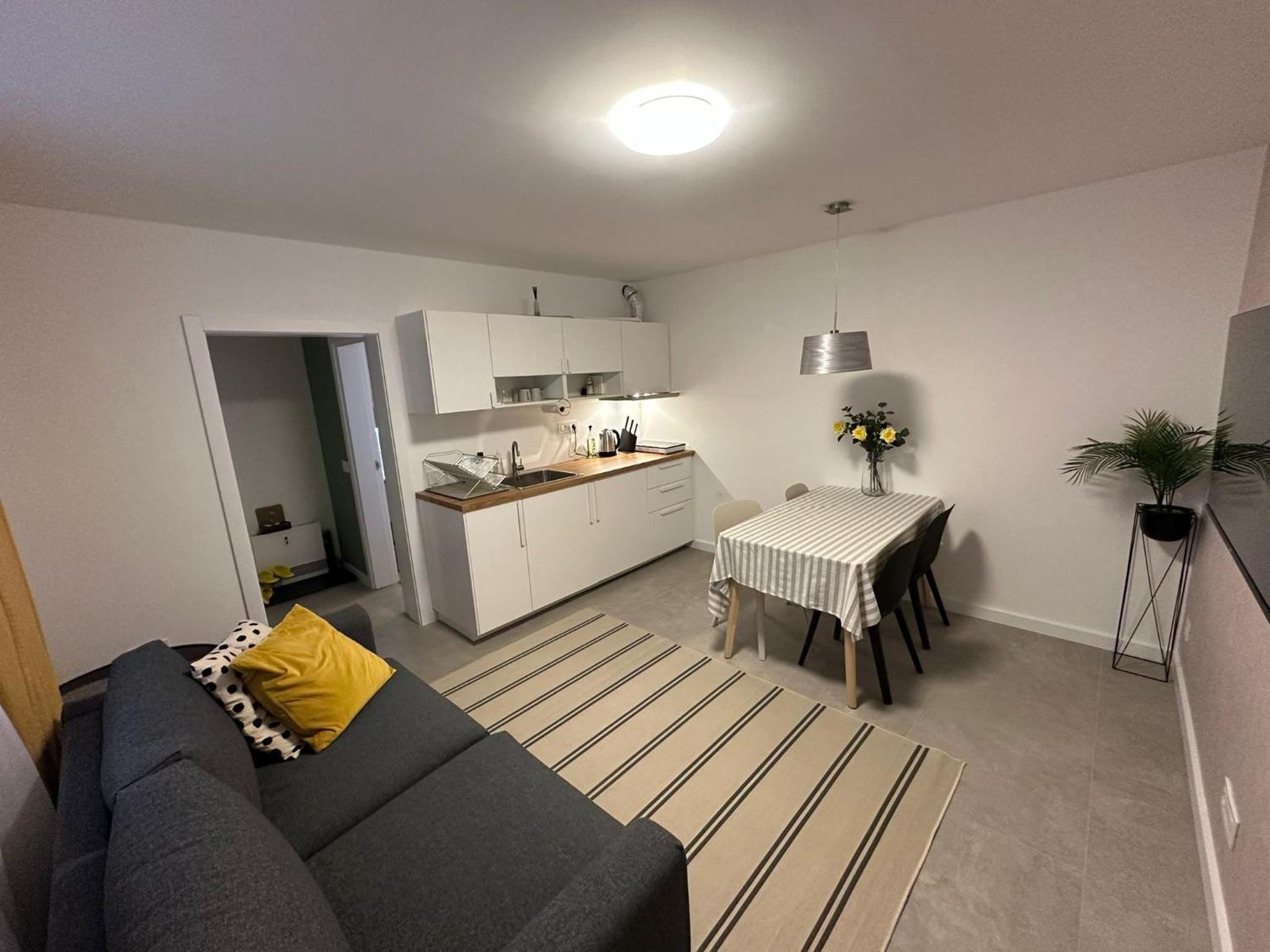 Apartman Dorćol VS60 view 3