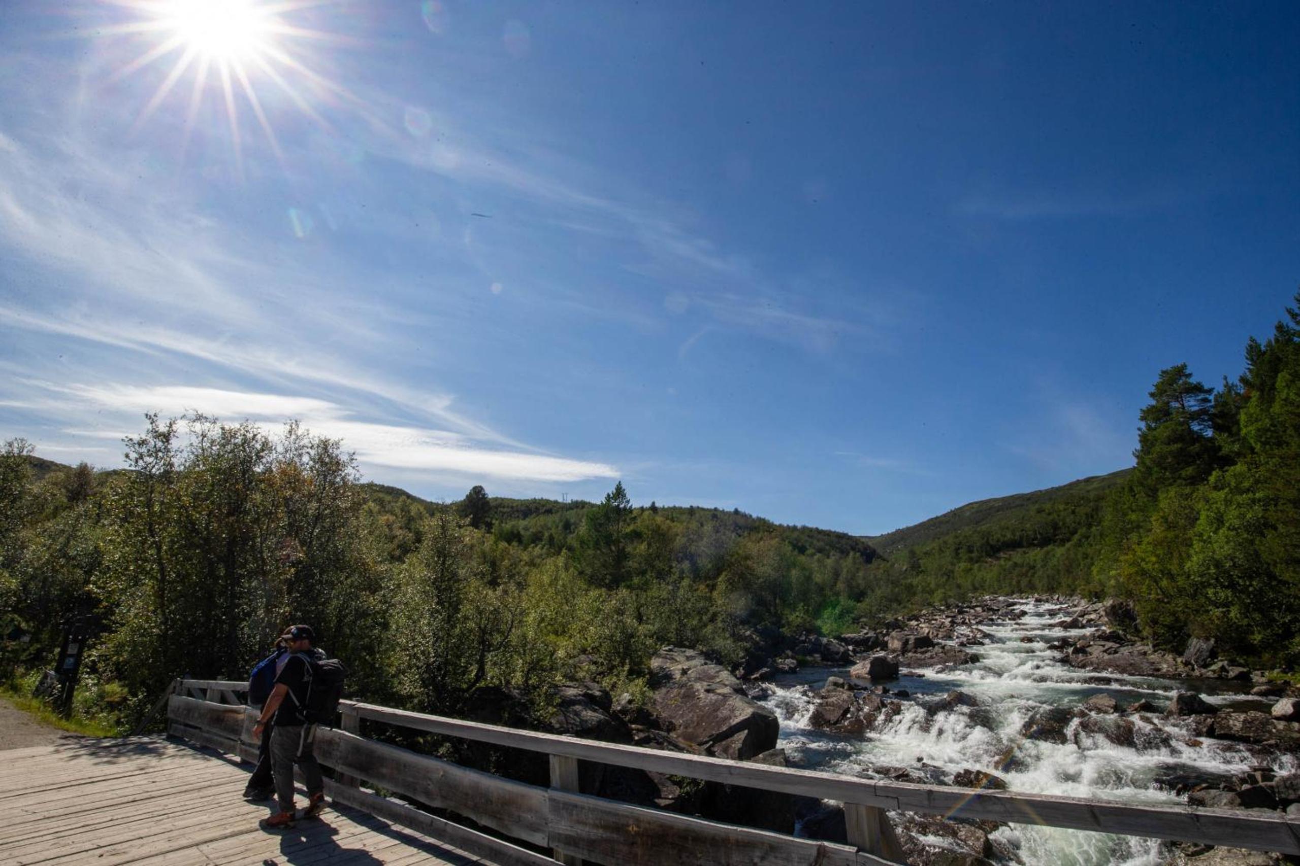 Spacious, exclusive and modern cabin in Geilo