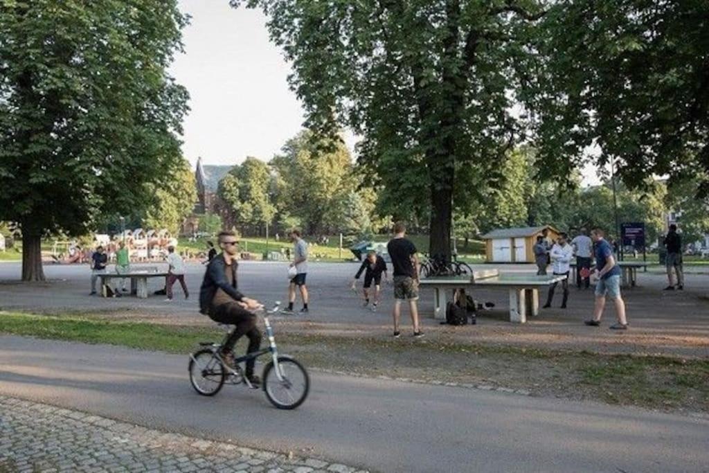 Central Oslo &Close to Central Station