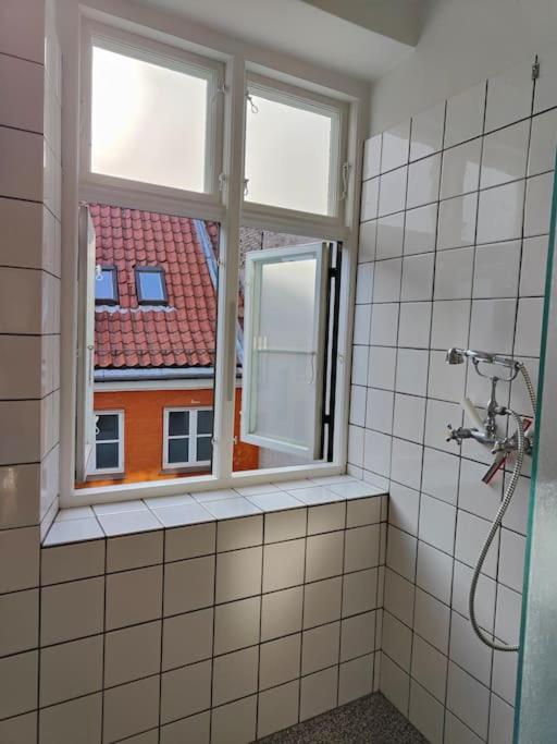 Glarmester Lejlighed i København