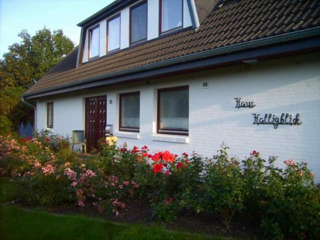 Haus Halligblick