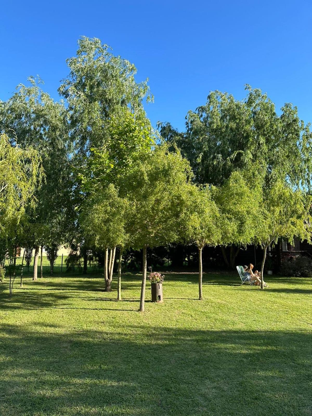 Cabañas Iremía
