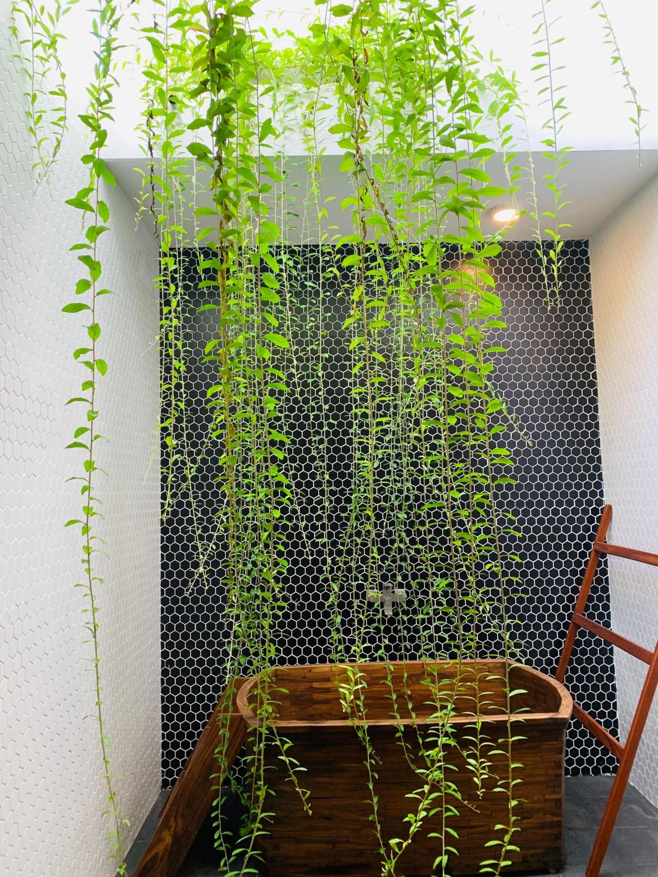 Praana Ayurvedic Boutique Villa