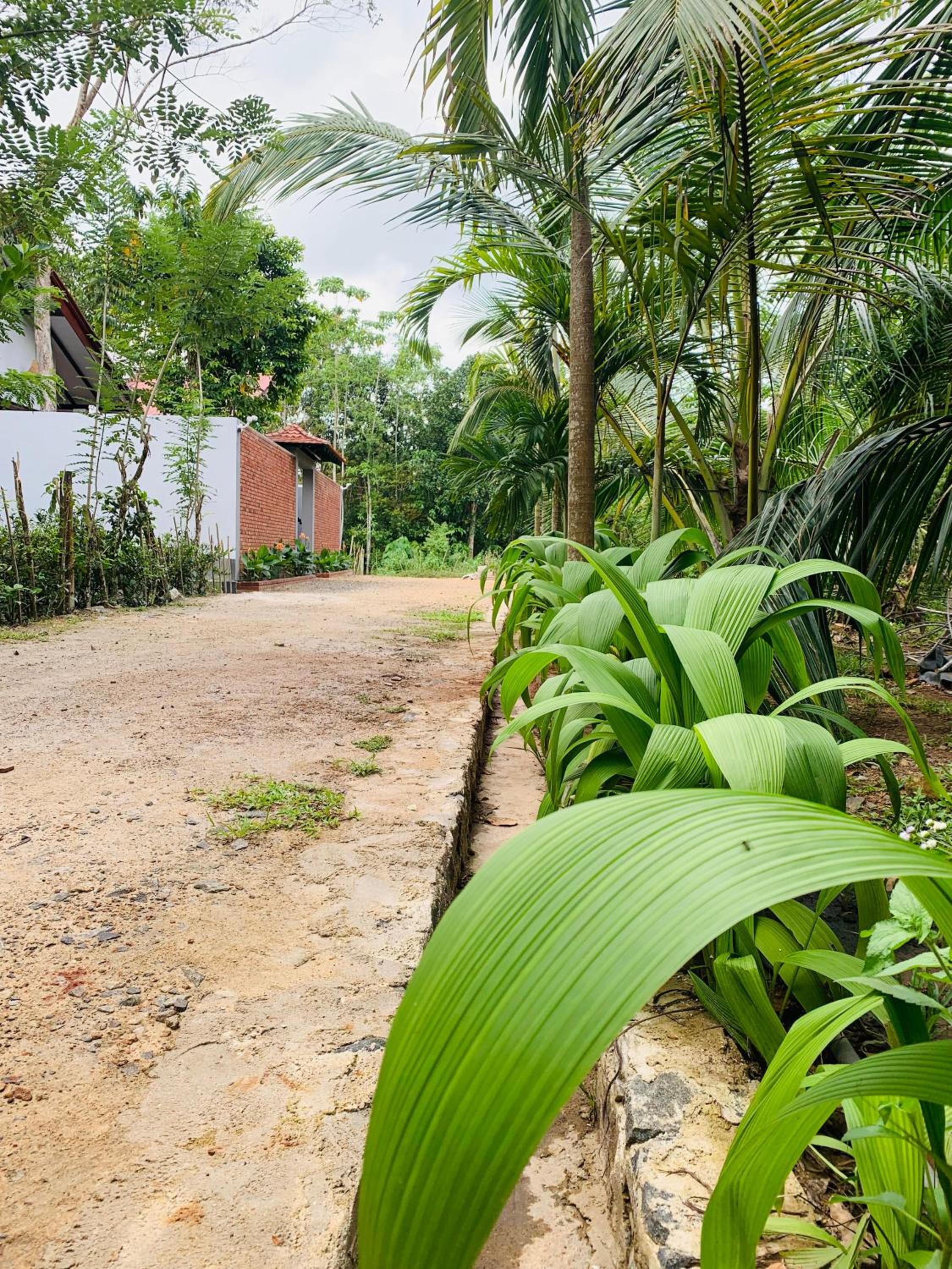 Praana Ayurvedic Boutique Villa