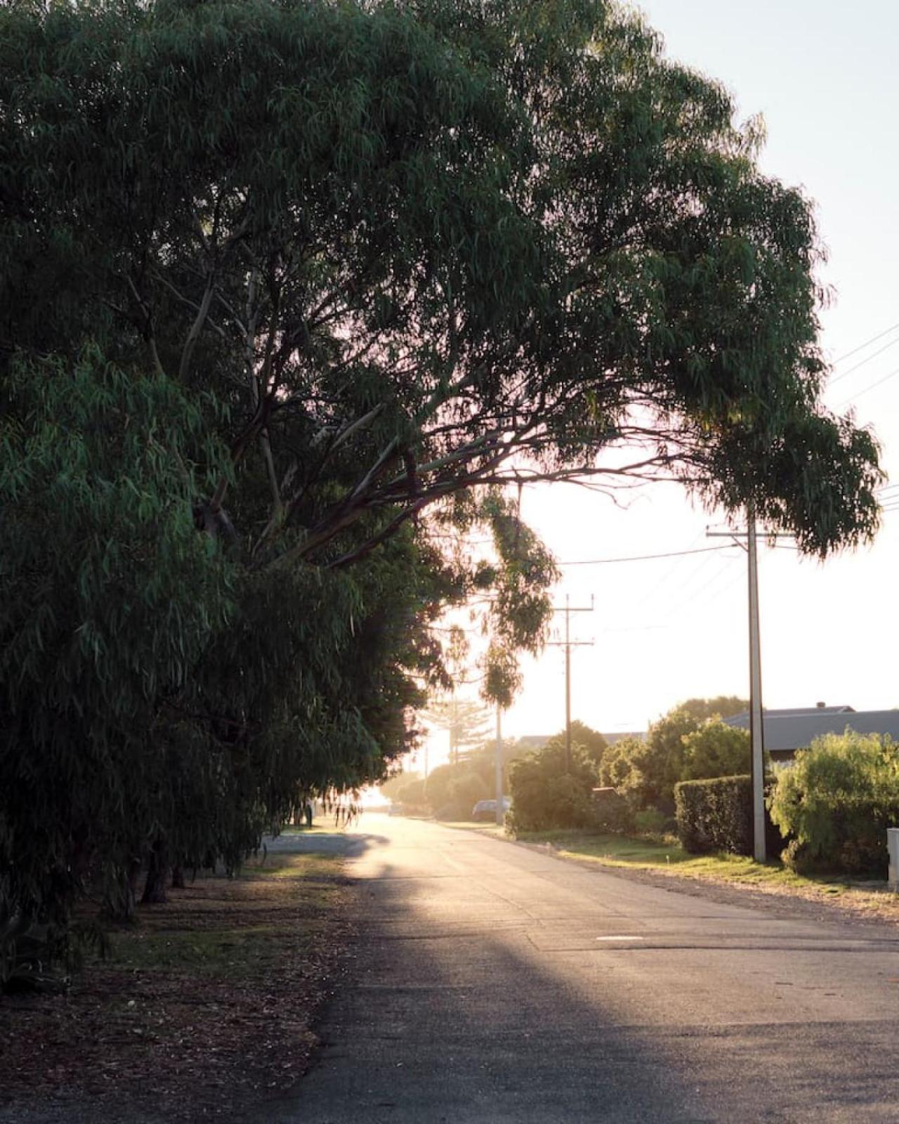 The Palms. Port Willunga