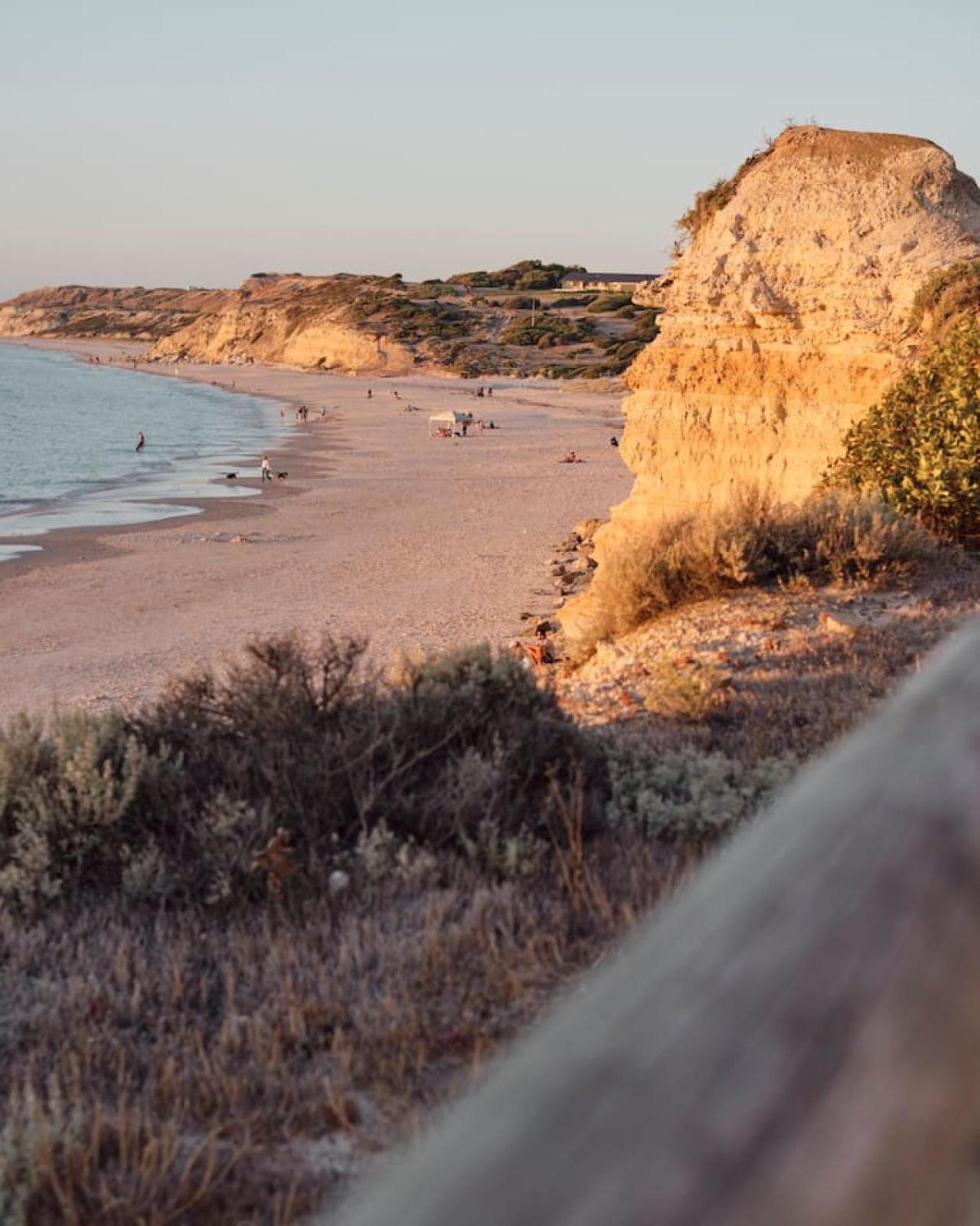 The Palms. Port Willunga