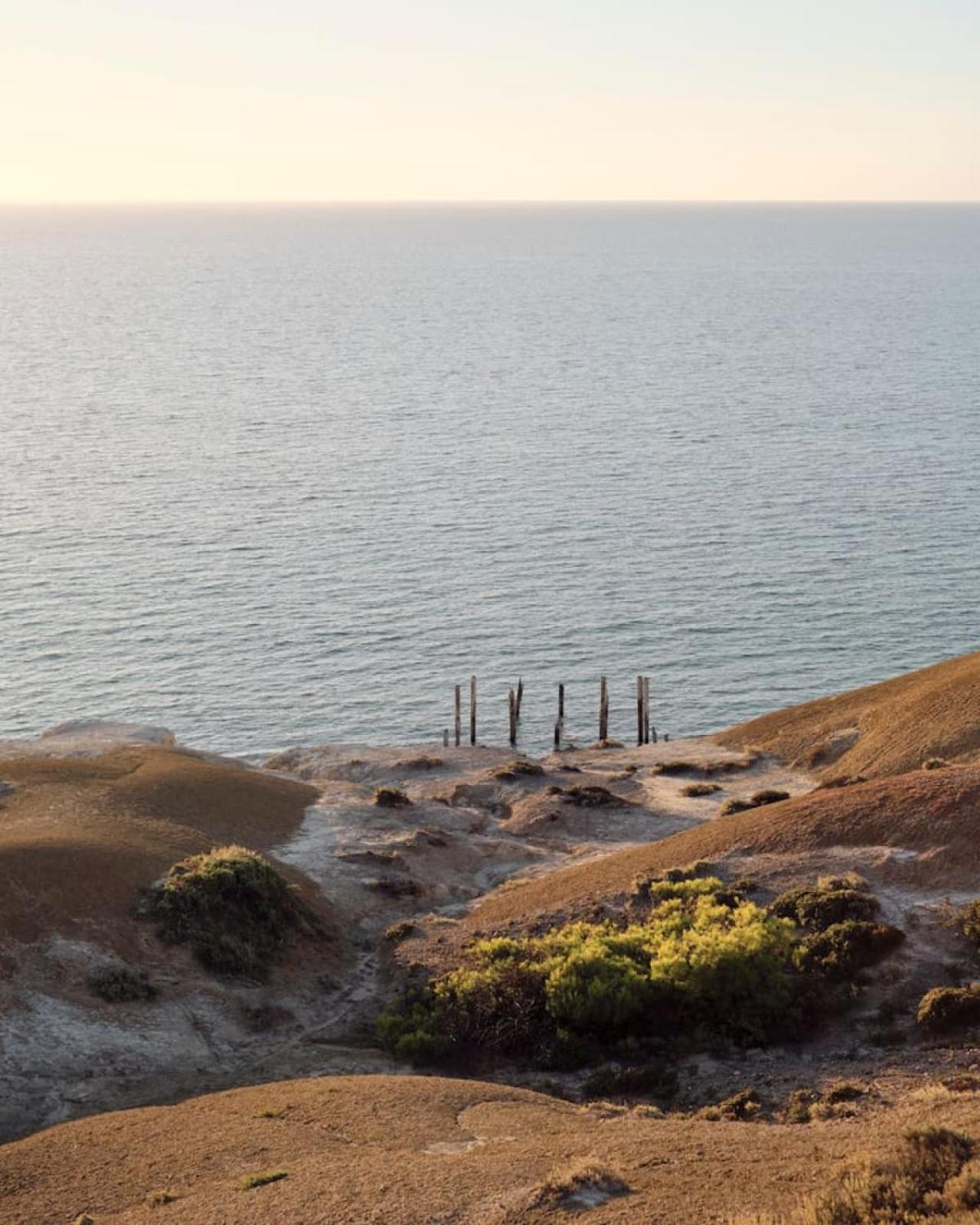 The Palms. Port Willunga