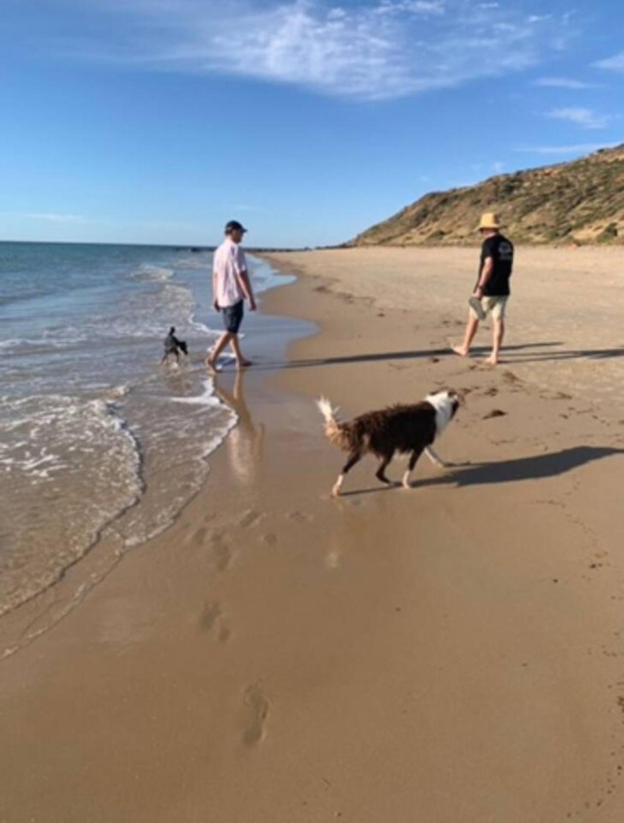 Casa Del Frankie. Maslin Beach