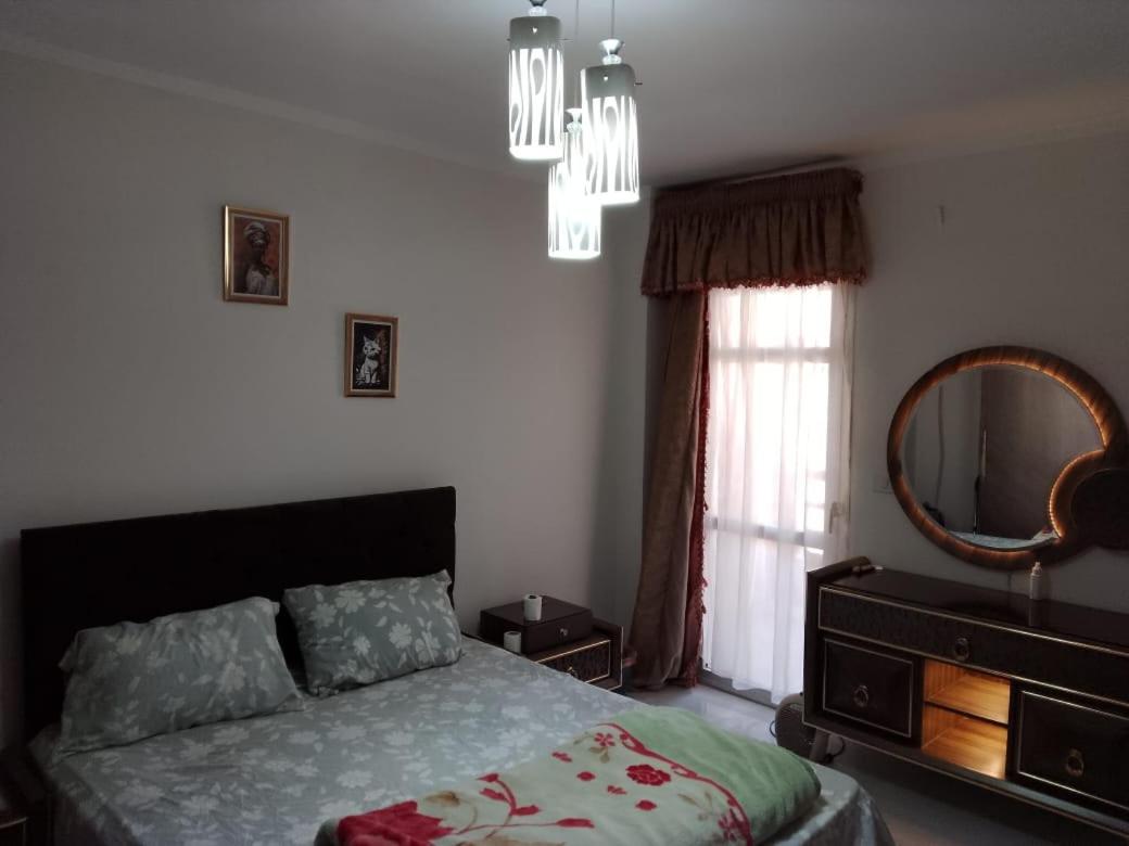 modern apartment in madinty