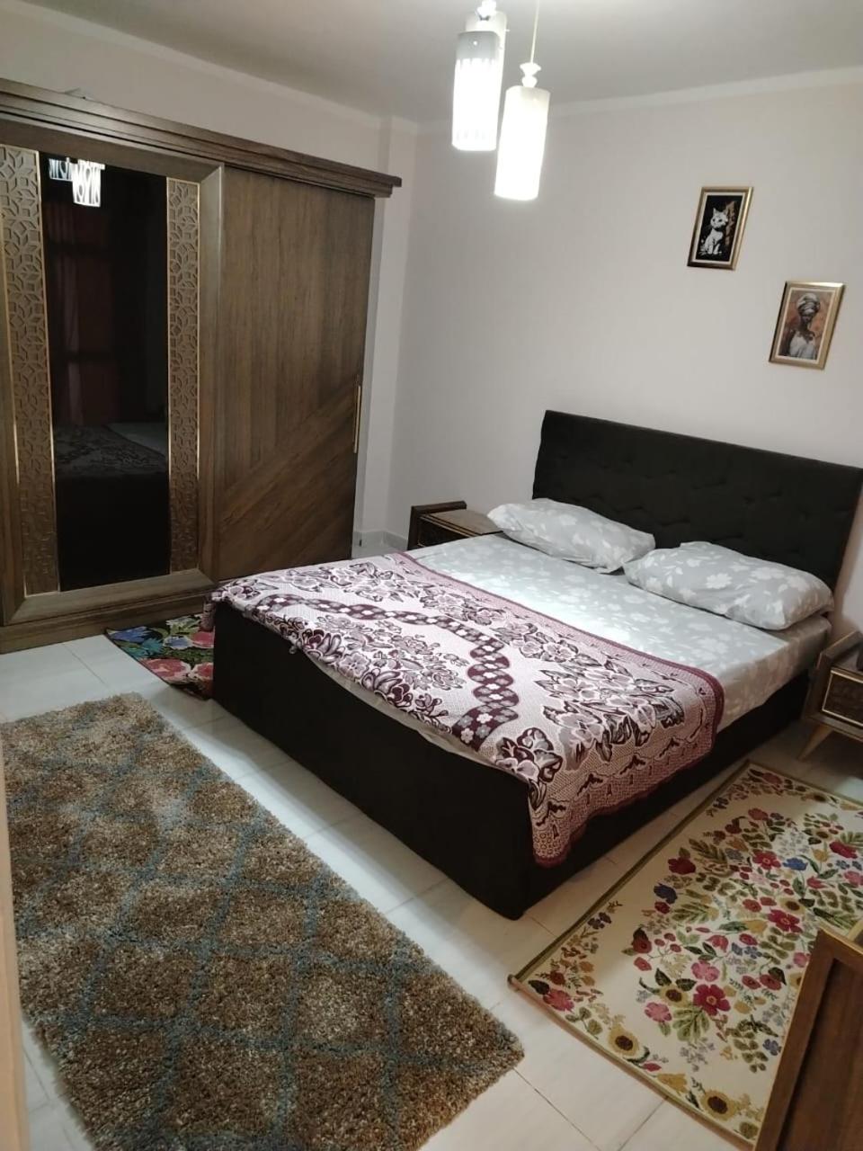 modern apartment in madinty