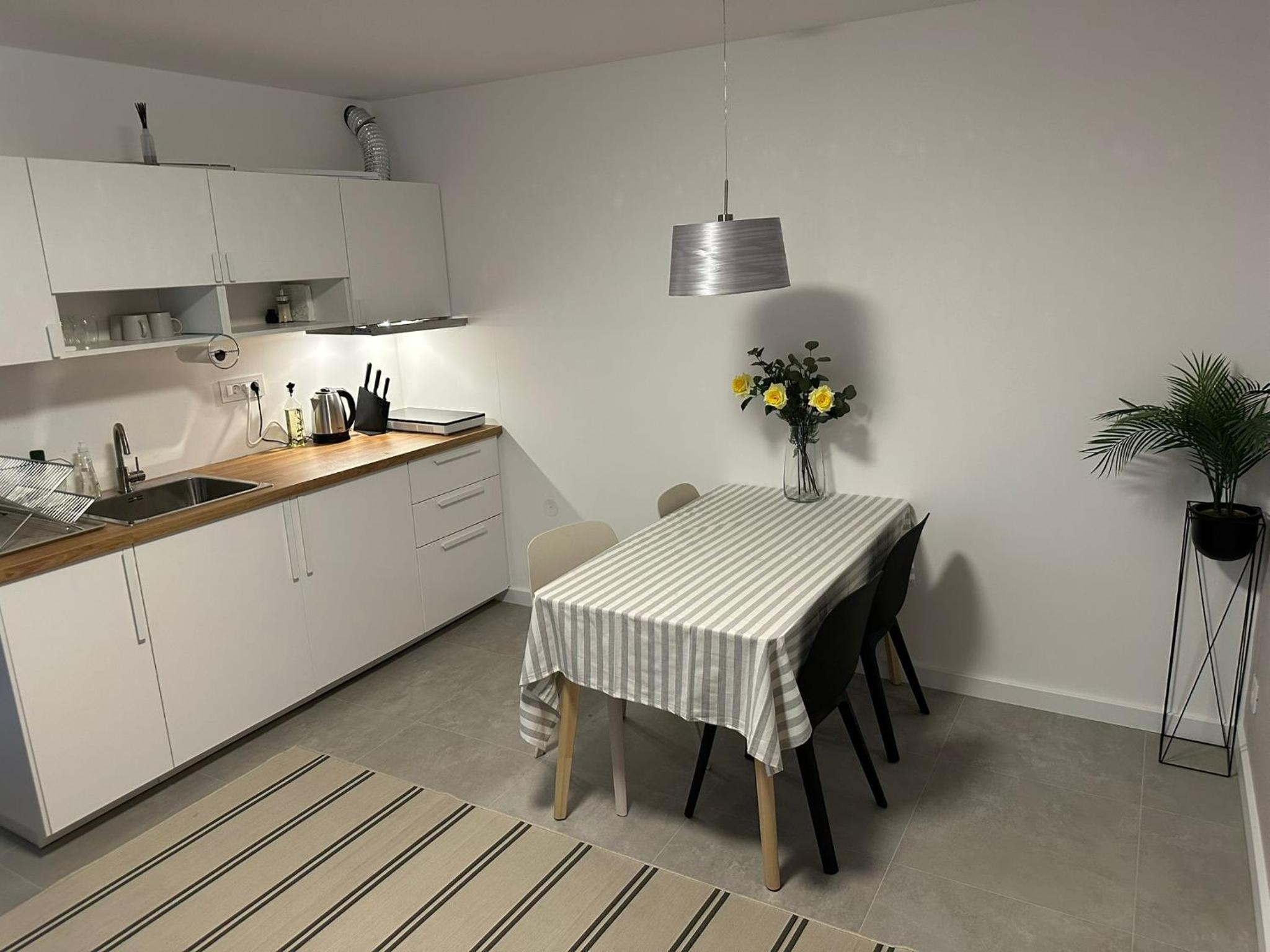 Apartman Dorćol VS60 view 2