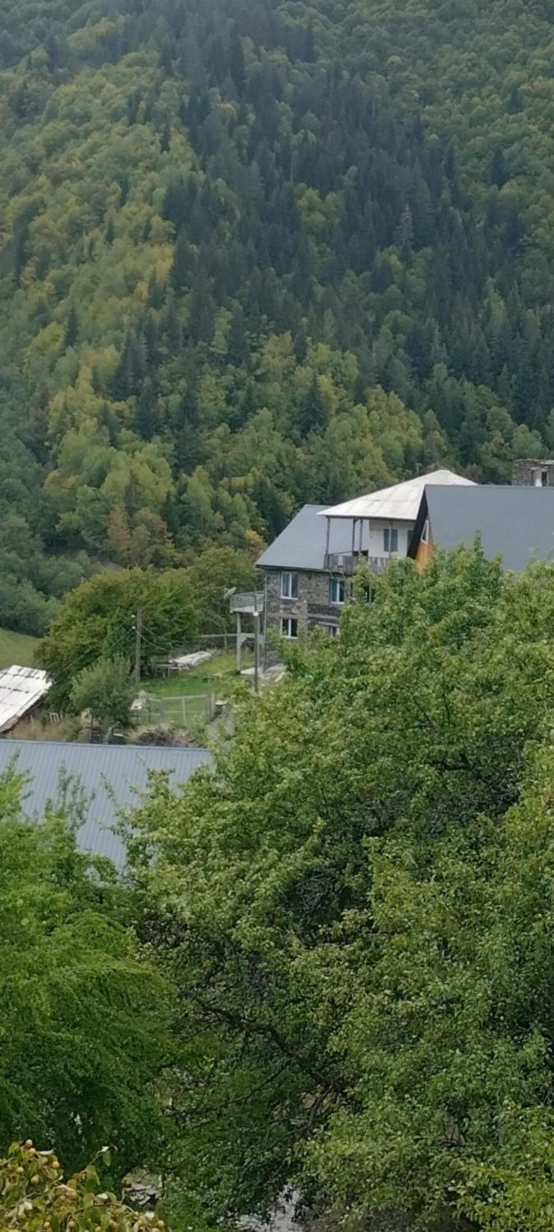 Guest House pesvebi view 3