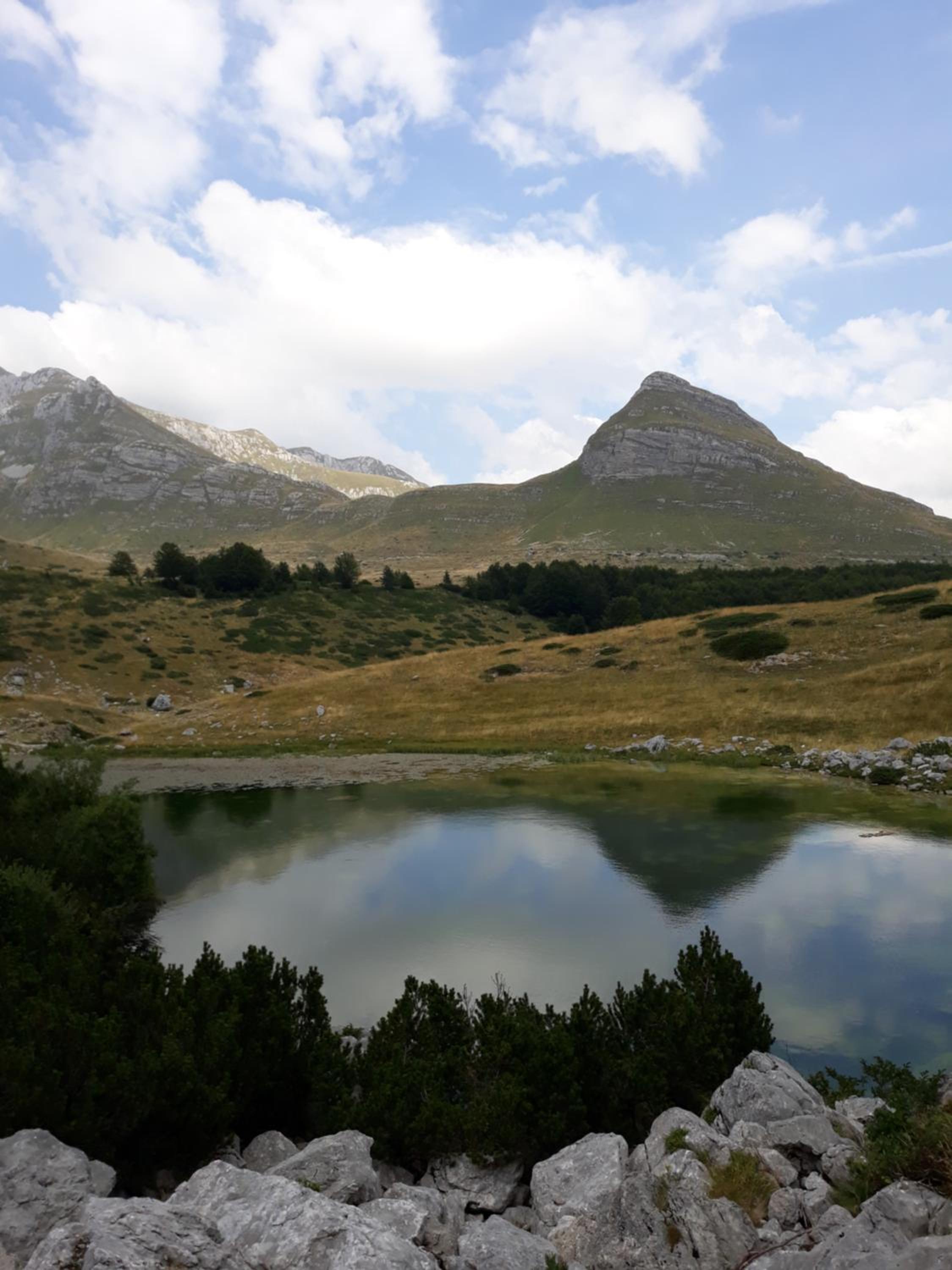 Miracle garden