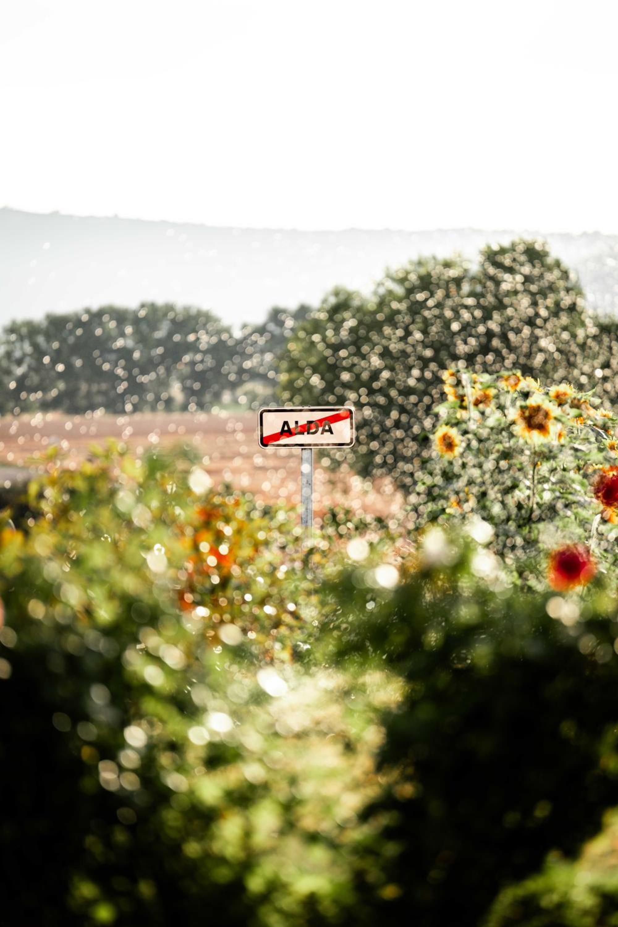 Agroturismo Biltegi Etxea